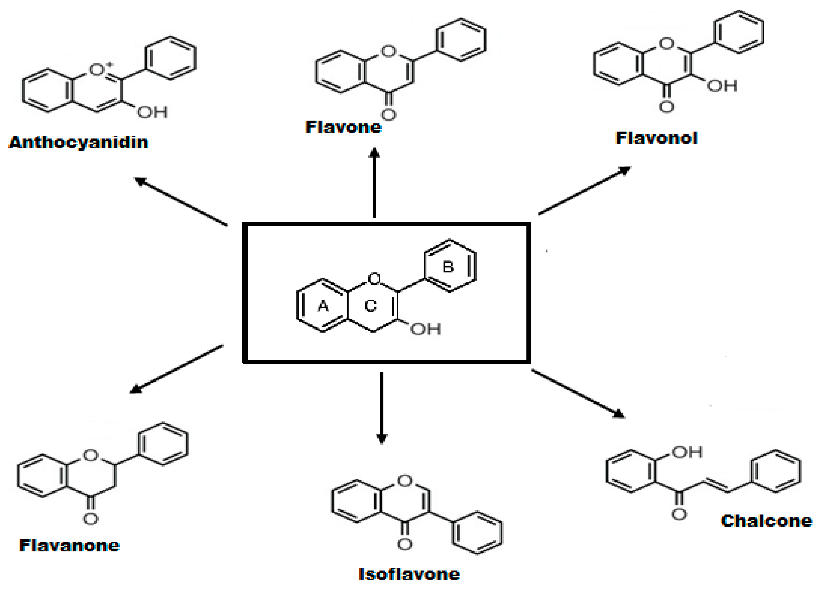 Molecules 25 04895 g001 Molecules 25 04895 g001