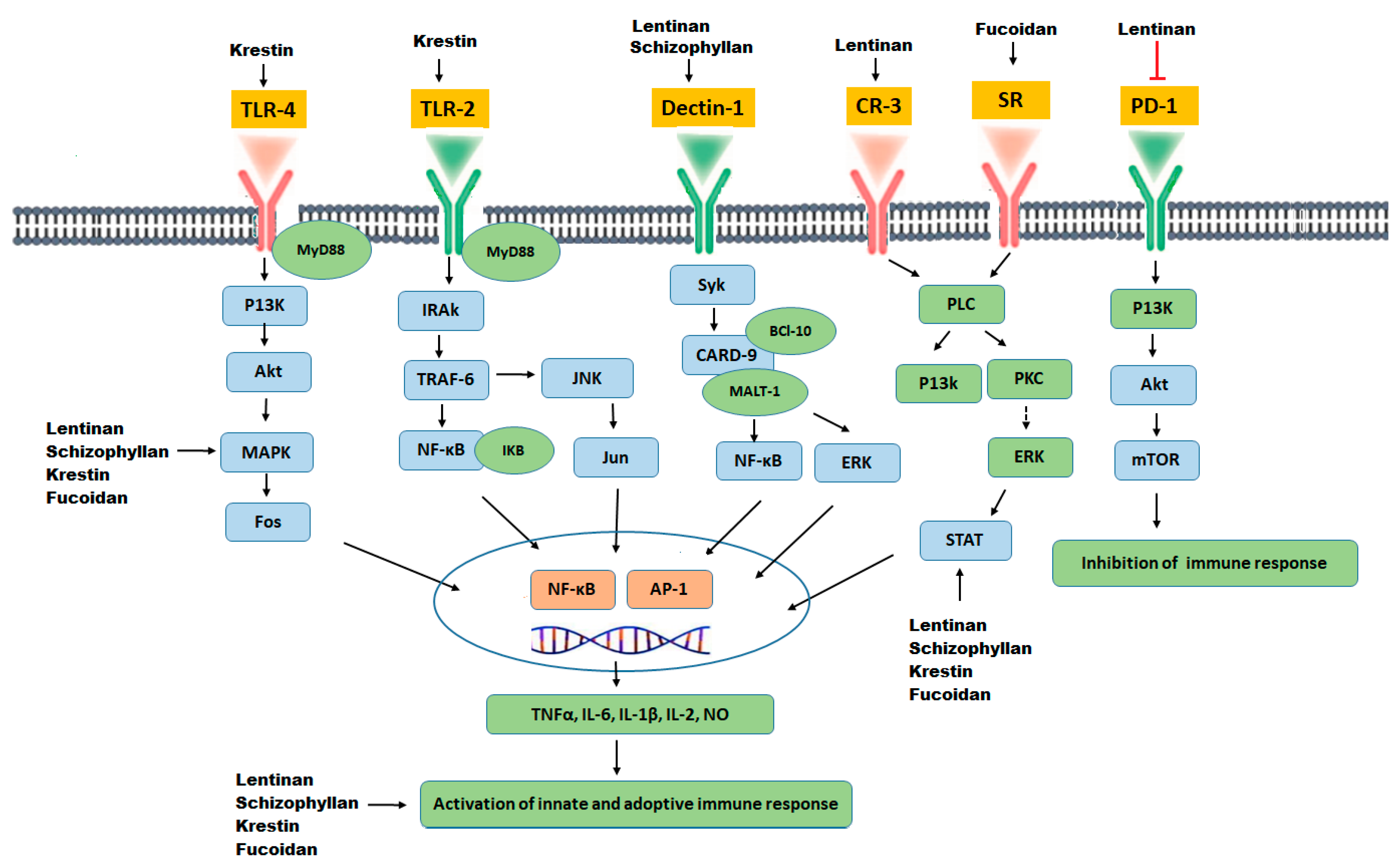 Molecules 25 04895 g004 Molecules 25 04895 g004