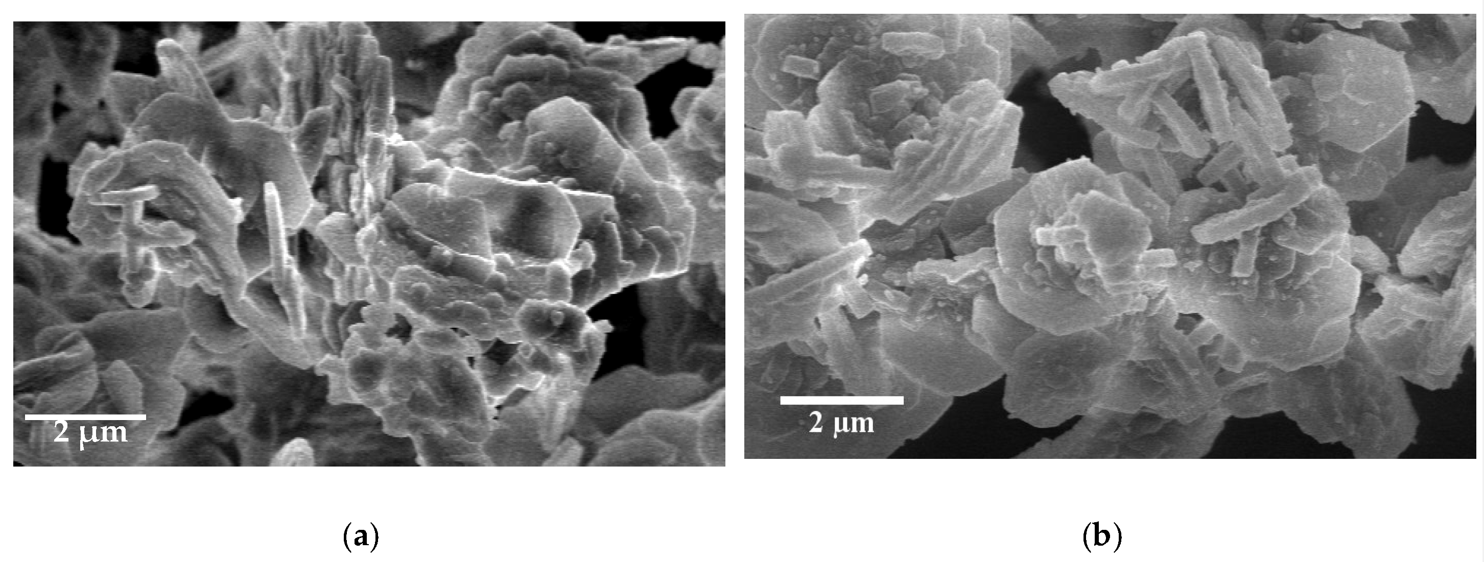 Molecules 25 04909 g002 Molecules 25 04909 g002
