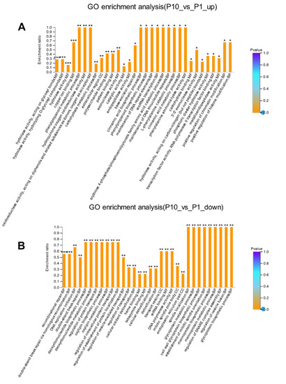 Sleep deprivation and pearl powder: Proteomics reveals brain