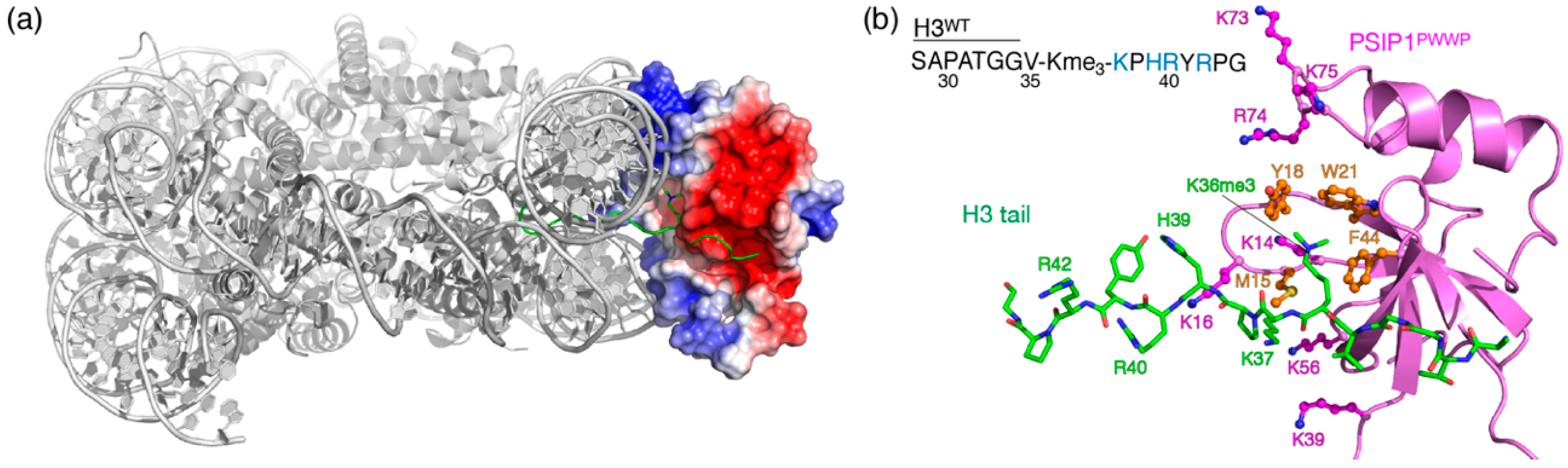 Molecules 25 04951 g001 Molecules 25 04951 g001