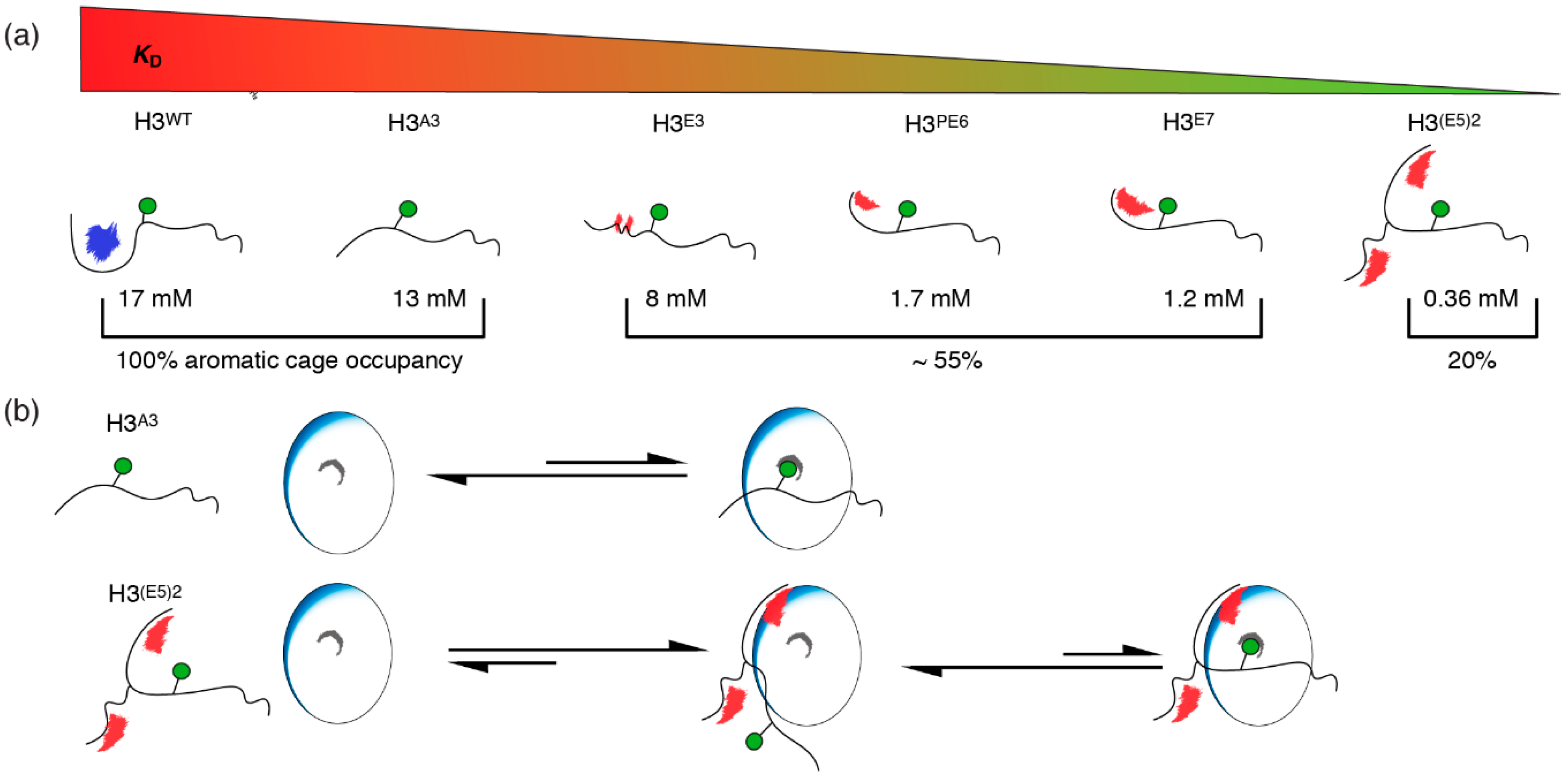 Molecules 25 04951 g006 Molecules 25 04951 g006