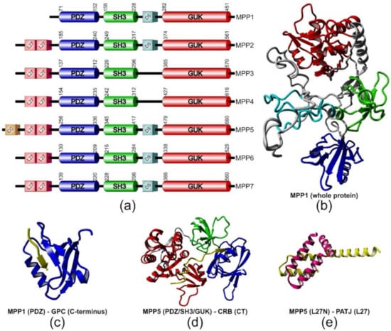 https://www.mdpi.com/molecules/molecules-25-04954/article_deploy/html/images/molecules-25-04954-g001-550.jpg