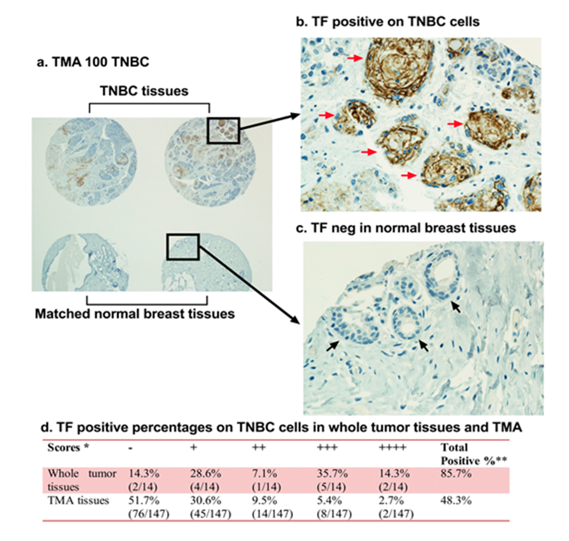 Molecules 25 04964 g002