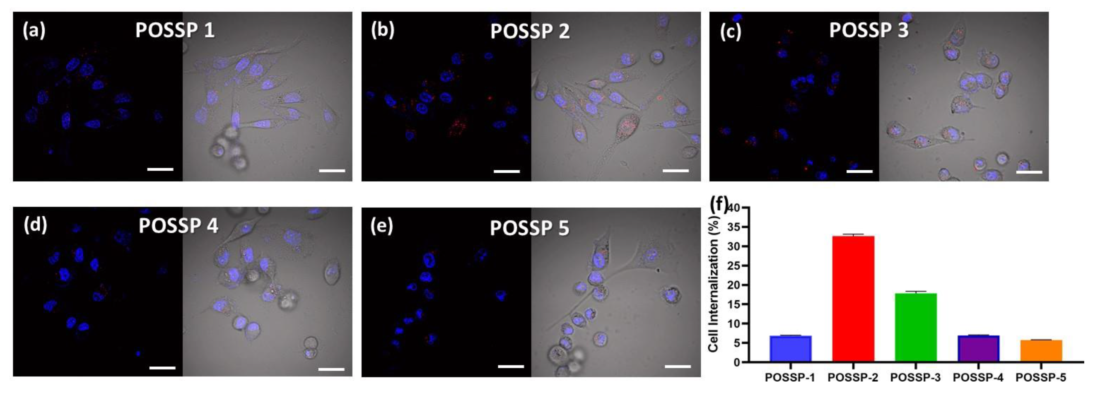 Molecules 25 04965 g004 Molecules 25 04965 g004