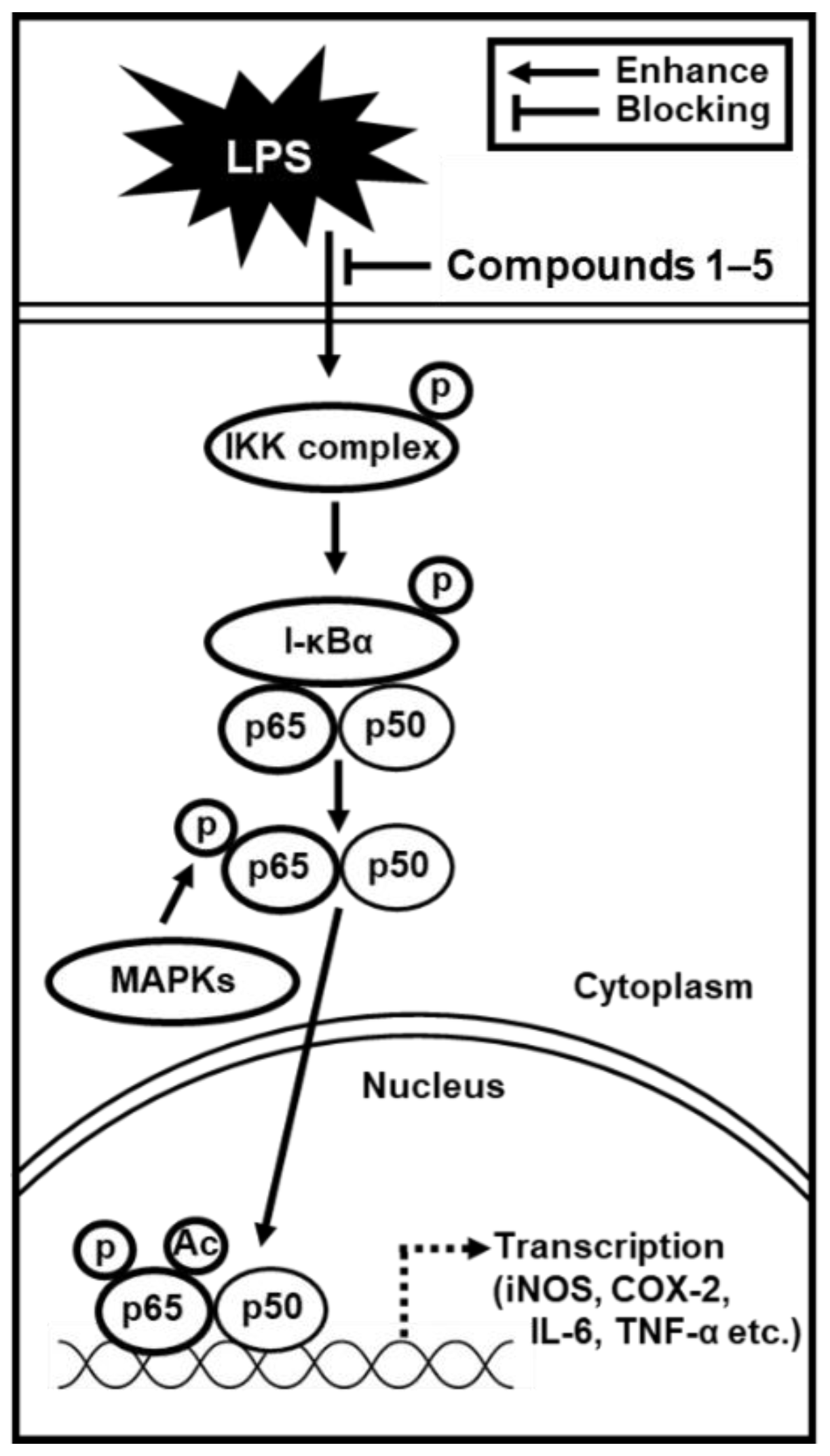 Molecules 25 04968 g007 Molecules 25 04968 g007