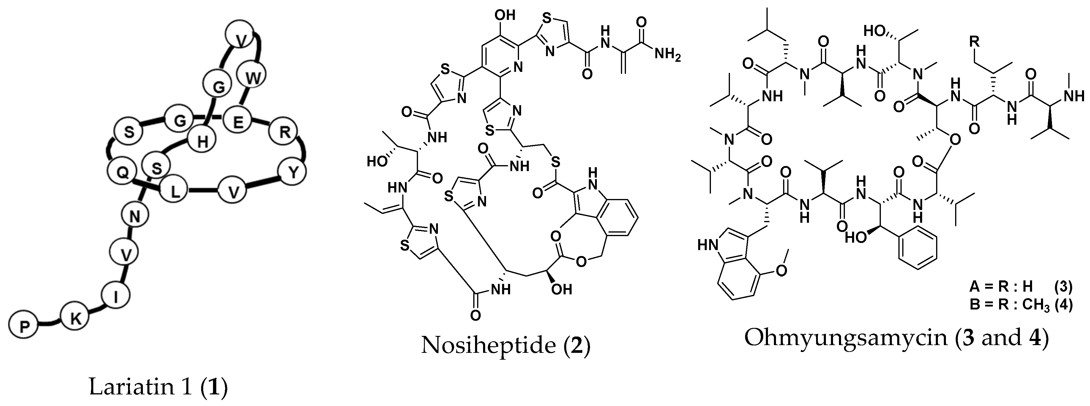 Molecules 25 04971 g004a