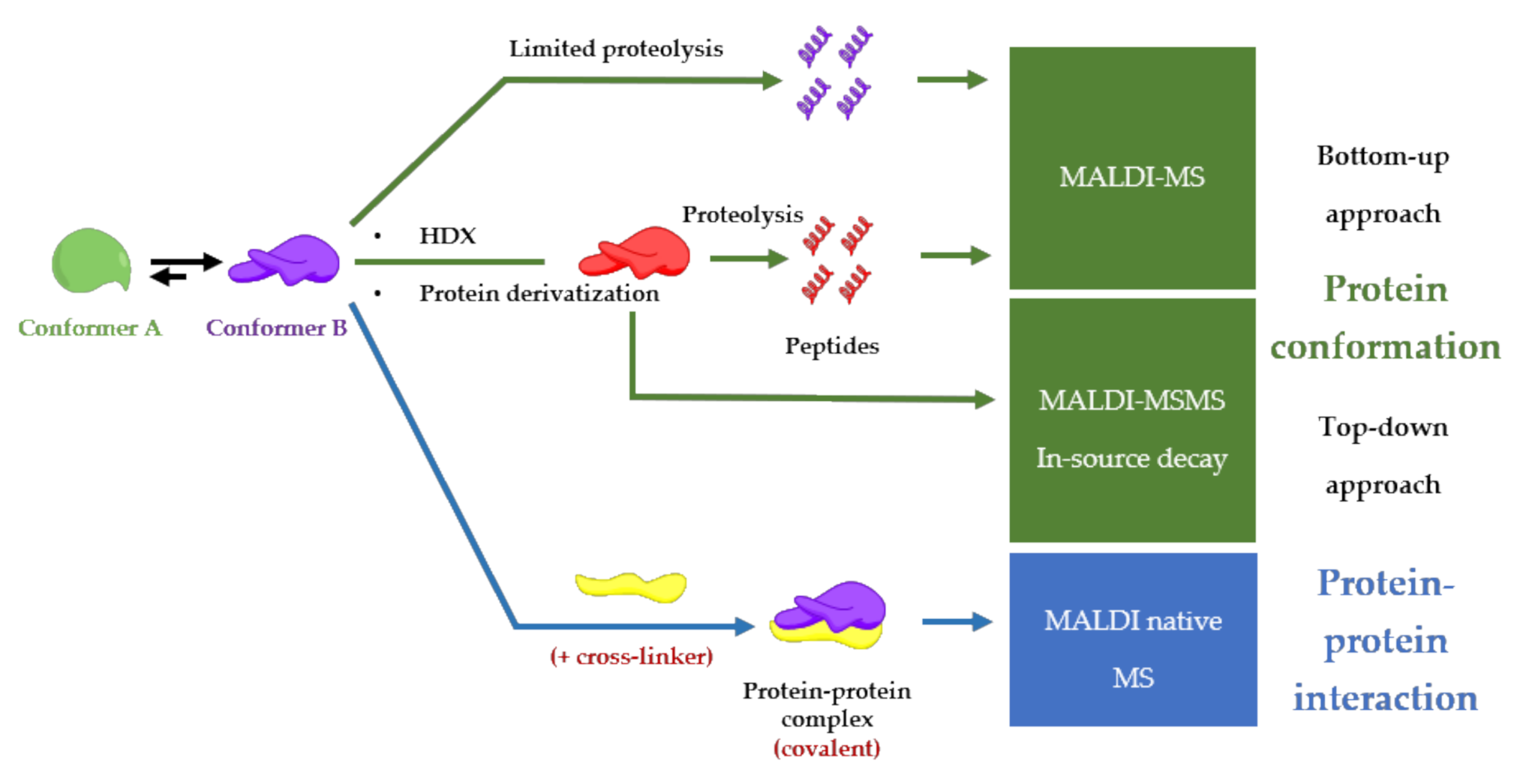 Molecules 25 04979 g004