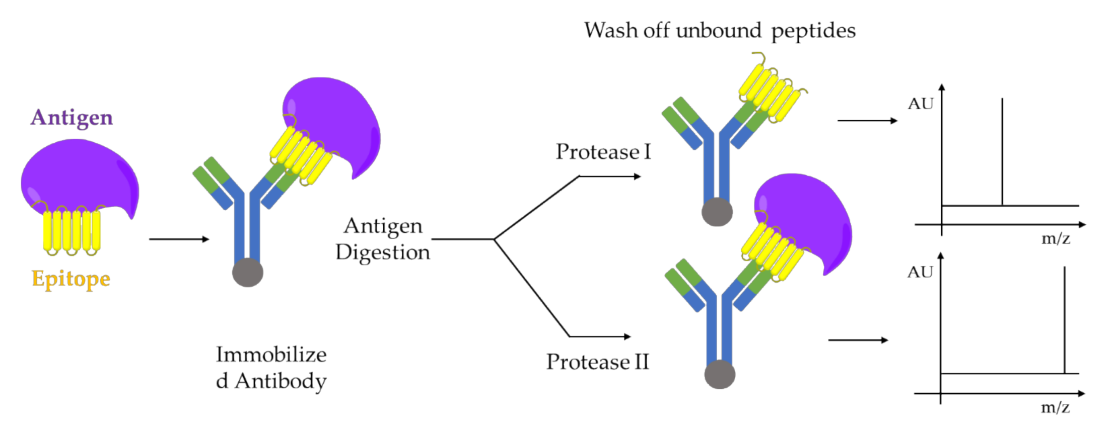 Molecules 25 04979 g005