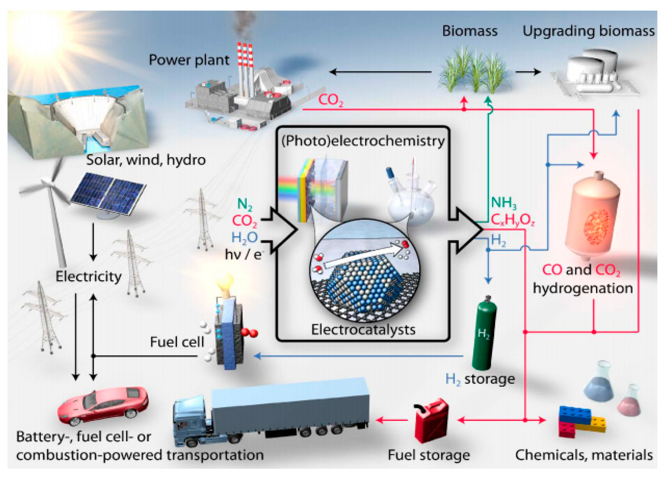 Molecules 25 04996 g008 Molecules 25 04996 g008