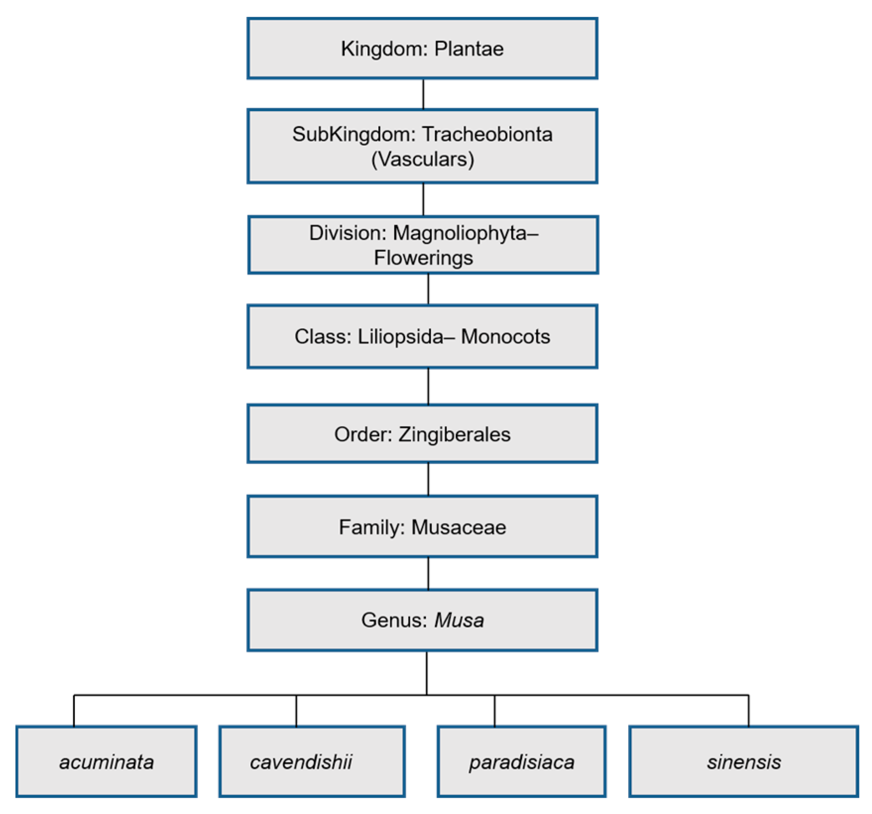 Molecules 25 05036 g002 Molecules 25 05036 g002