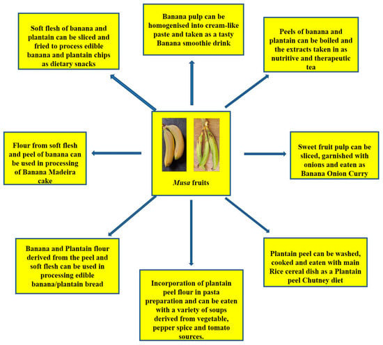 Molecules Free Full Text Potentials Of Musa Species Fruits Against Oxidative Stress Induced And Diet Linked Chronic Diseases In Vitro And In Vivo Implications Of Micronutritional Factors And Dietary Secondary Metabolite Compounds