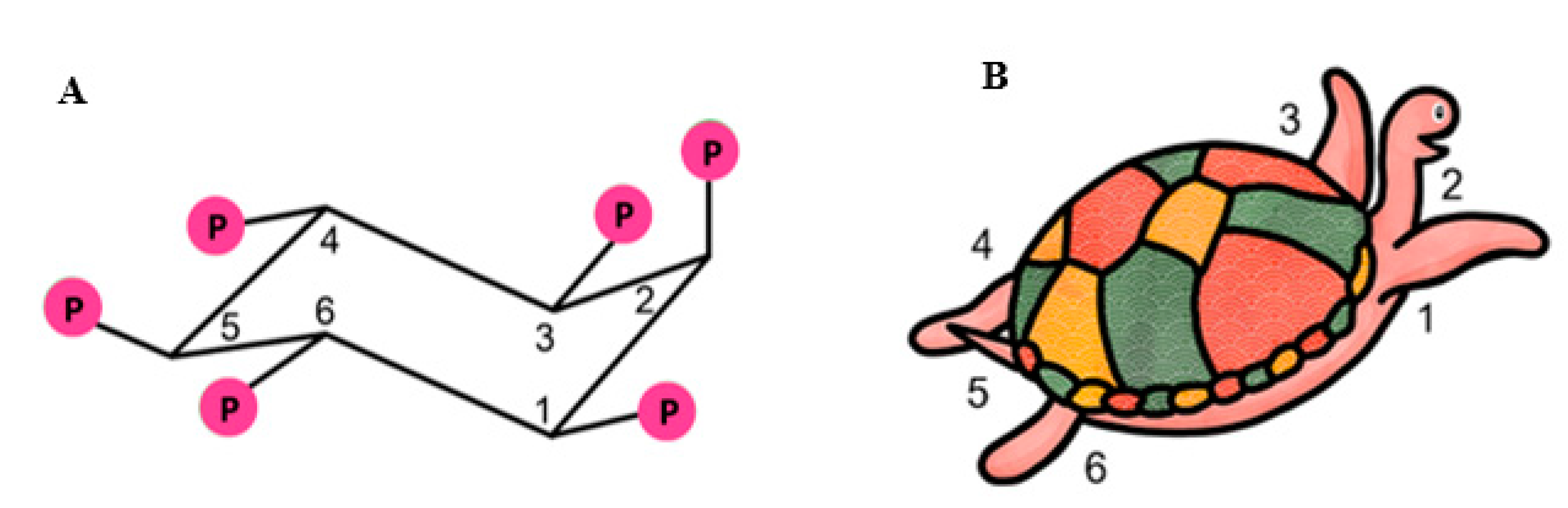 Molecules 25 05079 g003