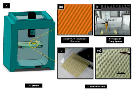 Molecules Free Full Text 3d Propolis Sodium Alginate Scaffolds Influence On Structural Parameters Release Mechanisms Cell Cytotoxicity And Antibacterial Activity Html