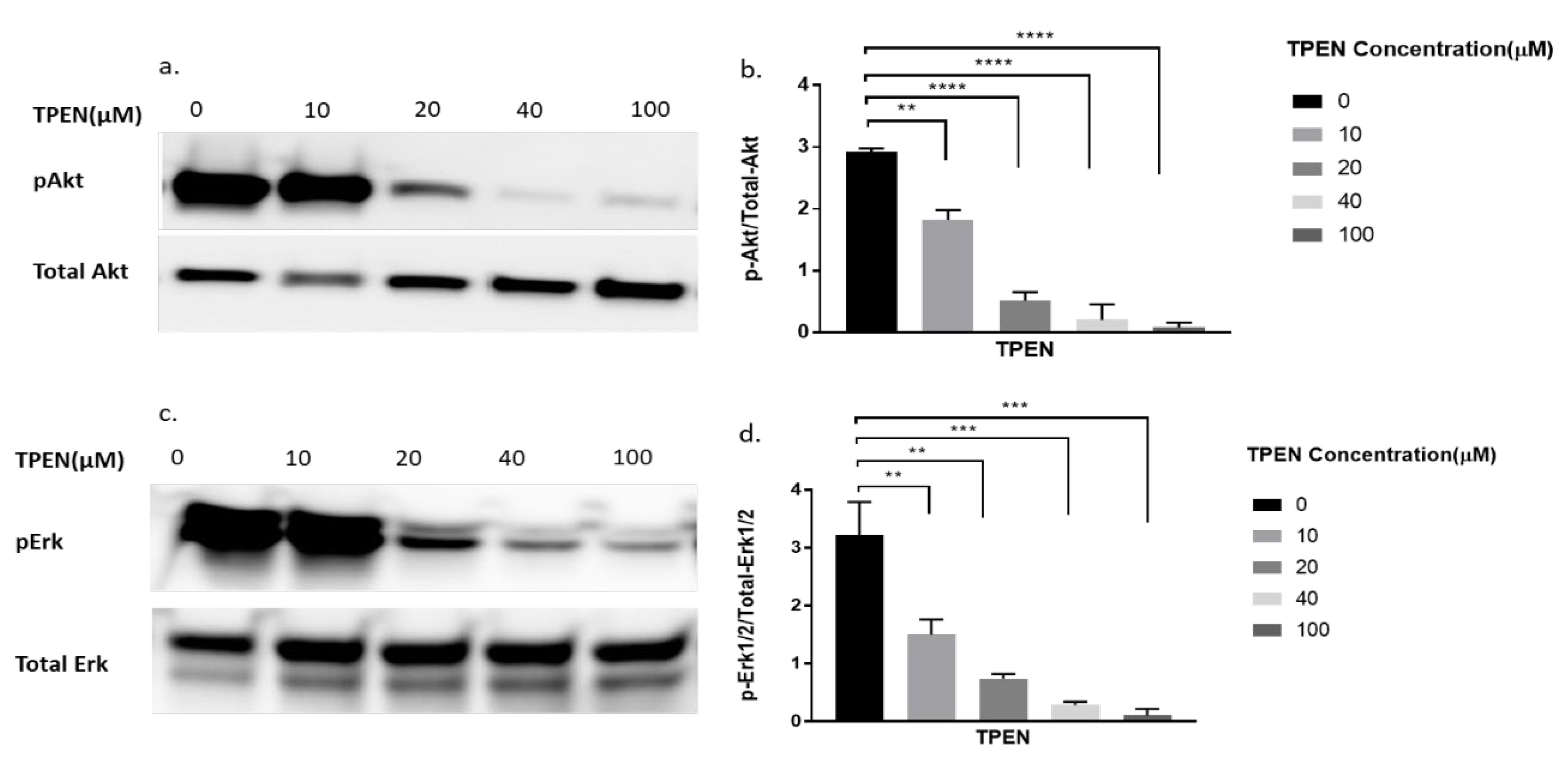 Molecules 25 05098 g003