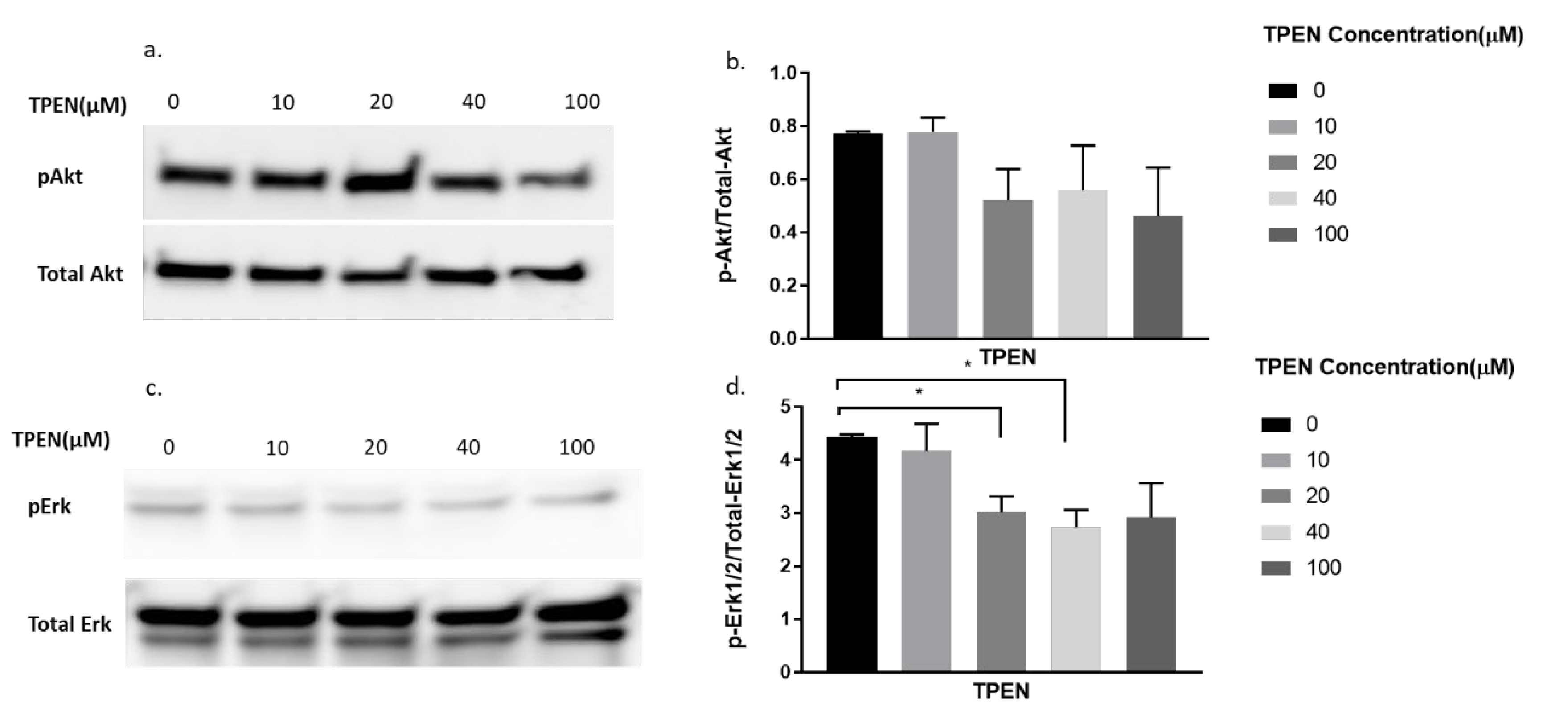 Molecules 25 05098 g004