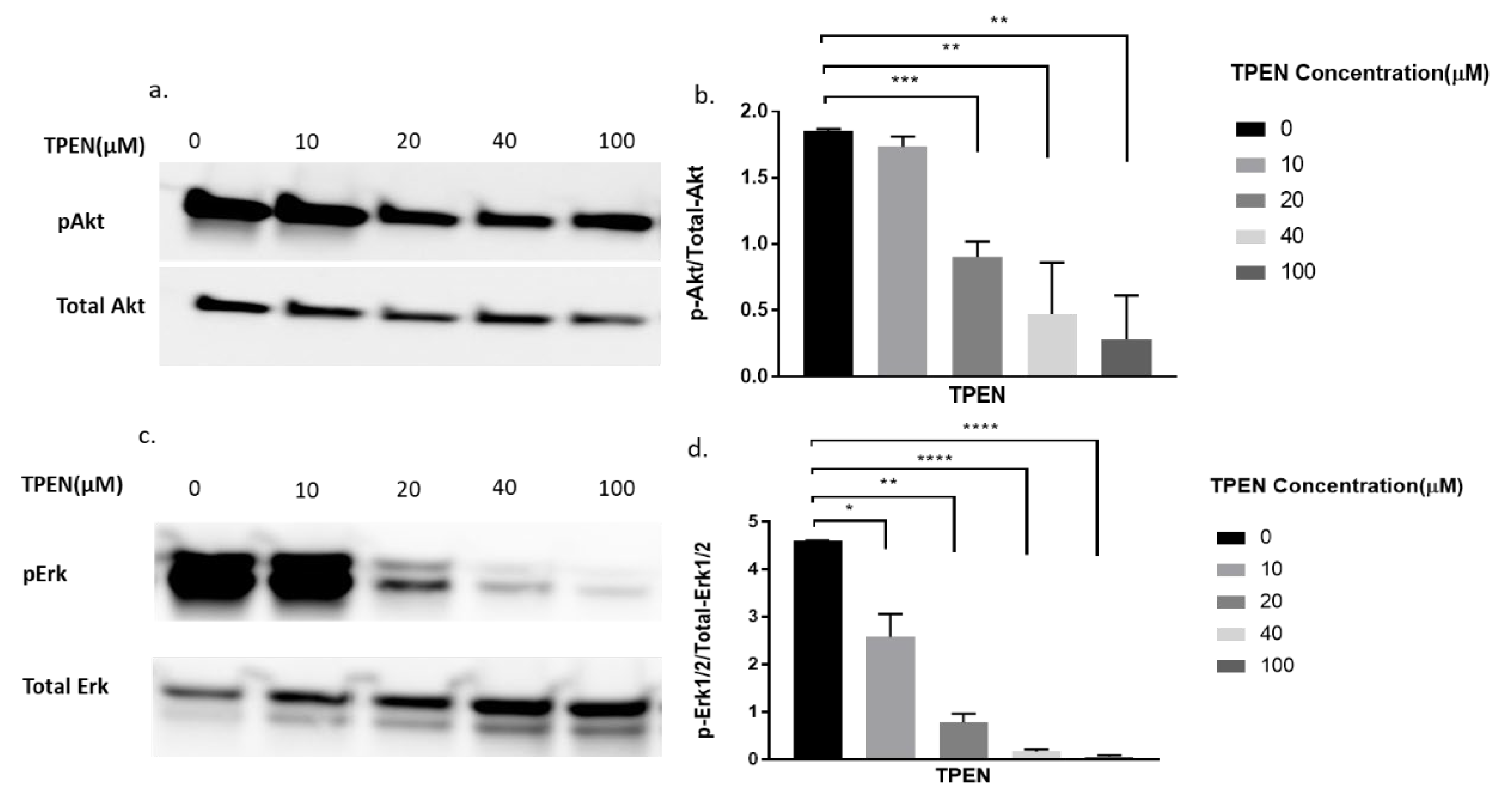 Molecules 25 05098 g005