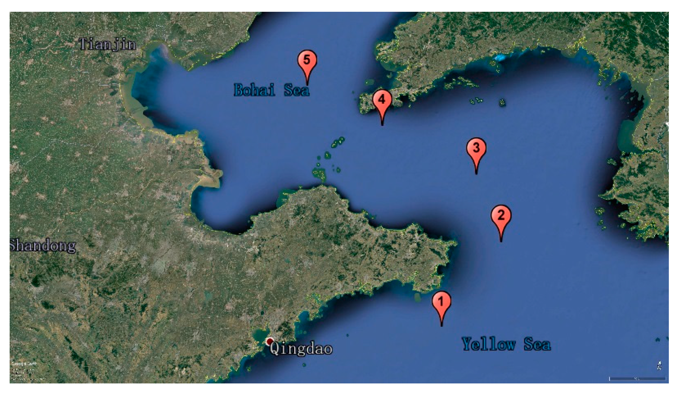 Molecules 25 05124 g004 Molecules 25 05124 g004