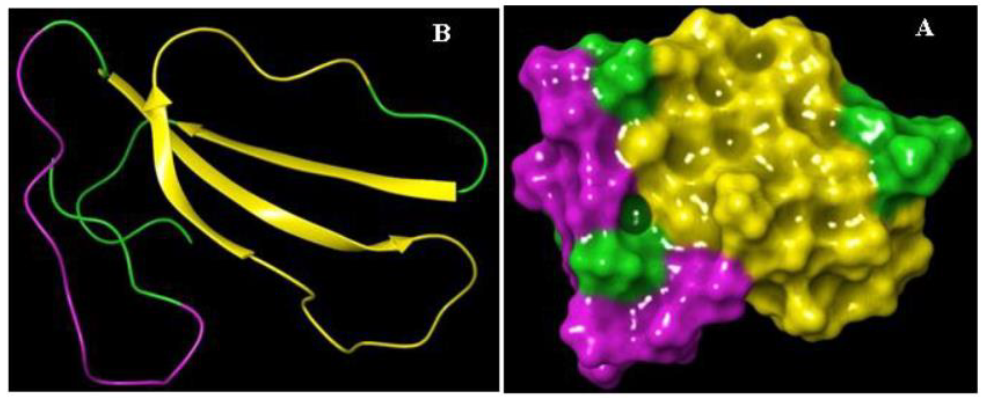 Molecules 25 05148 g002 Molecules 25 05148 g002