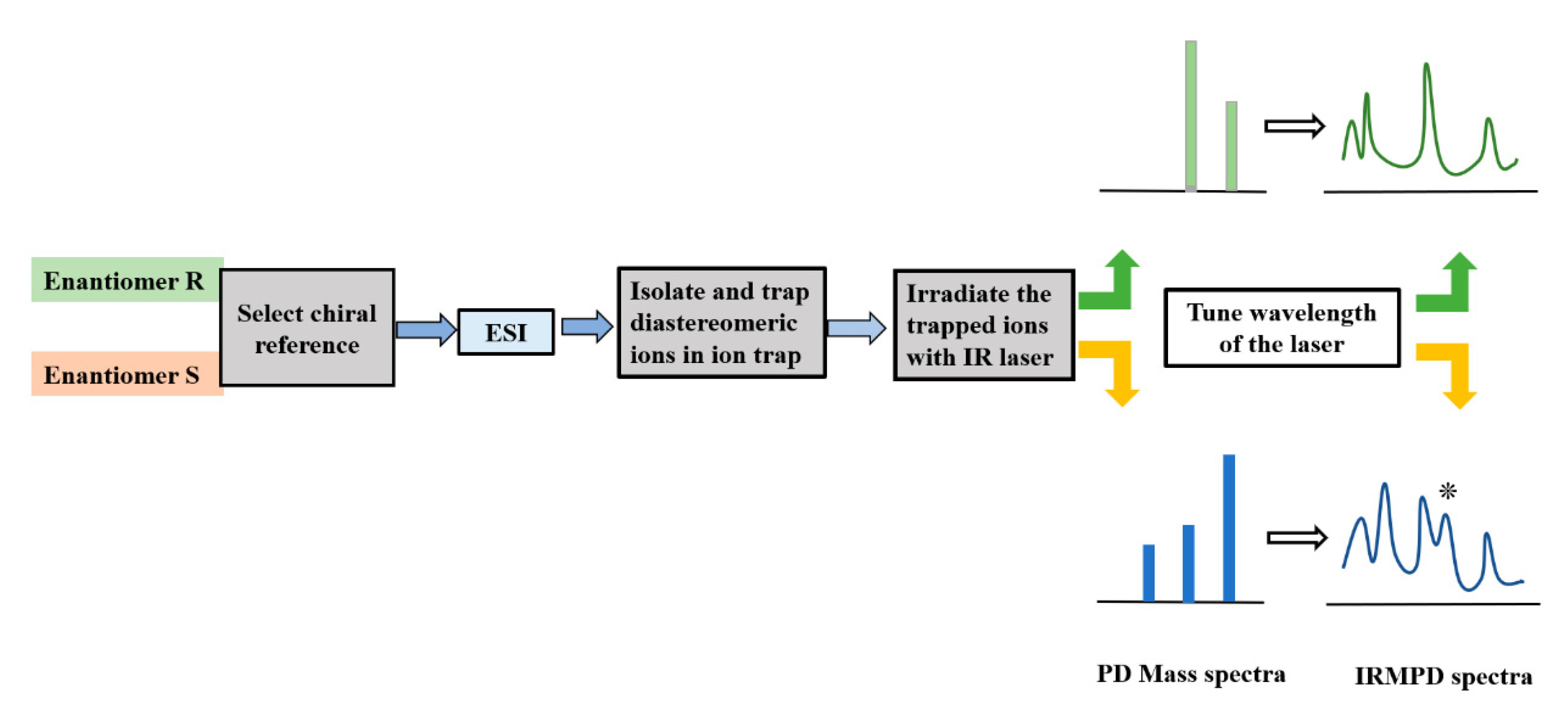 Molecules 25 05152 g001