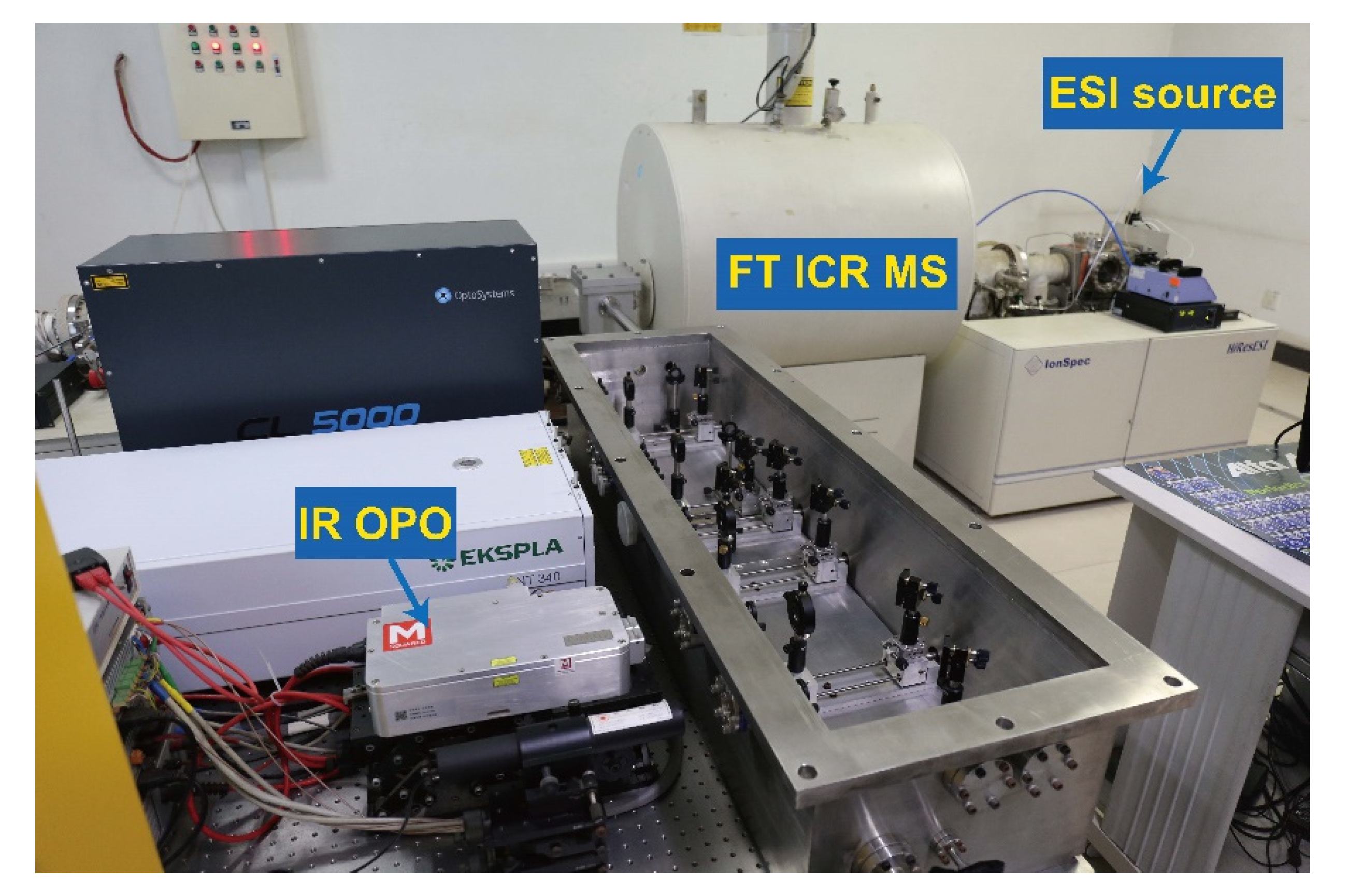 Molecules 25 05152 g002