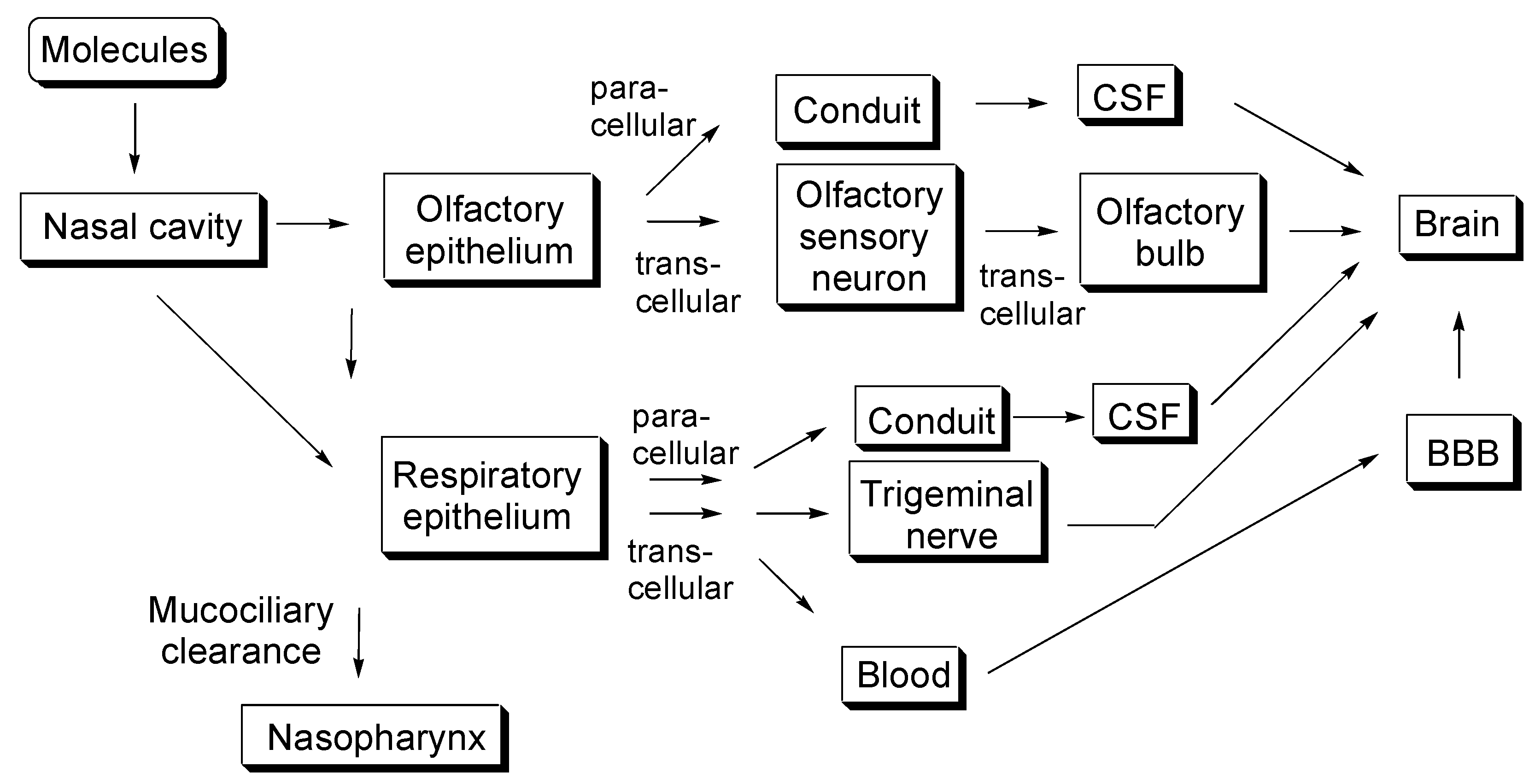 Molecules 25 05188 g001 Molecules 25 05188 g001