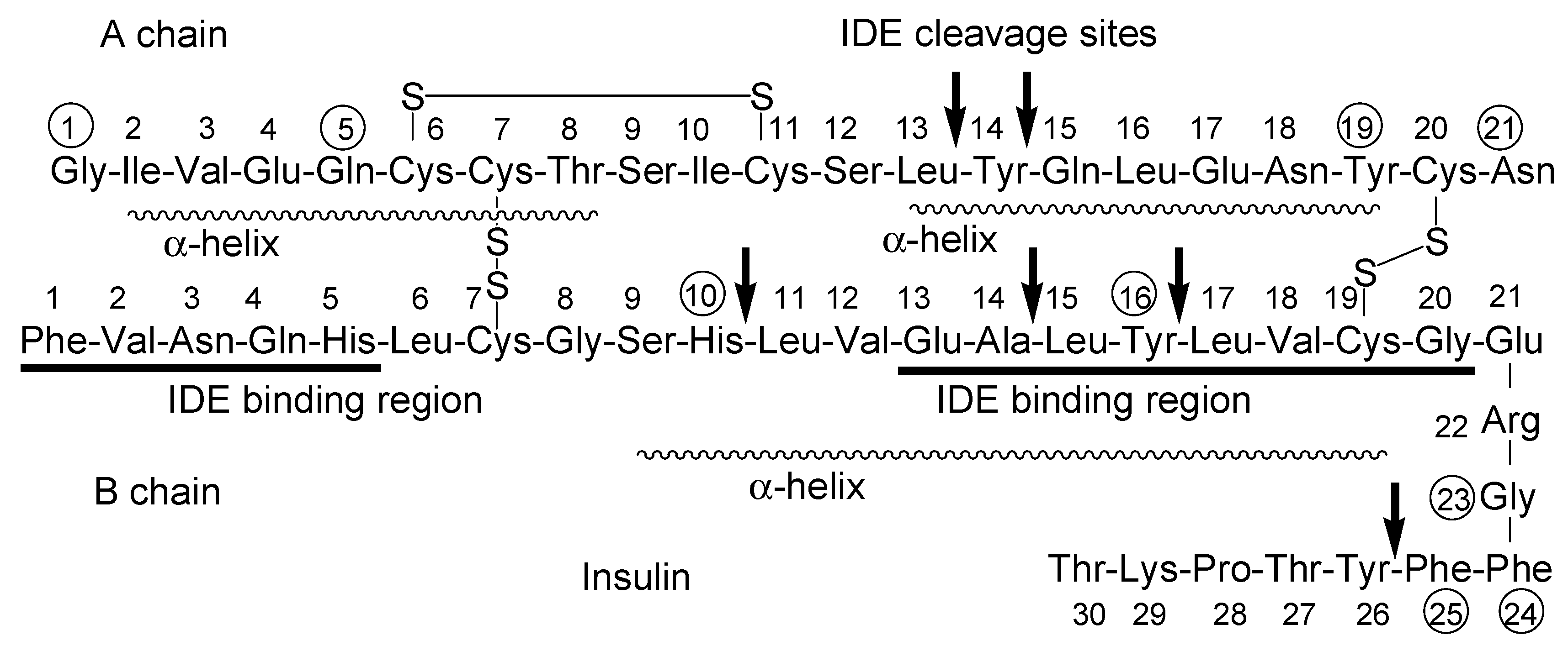 Molecules 25 05188 g004 Molecules 25 05188 g004