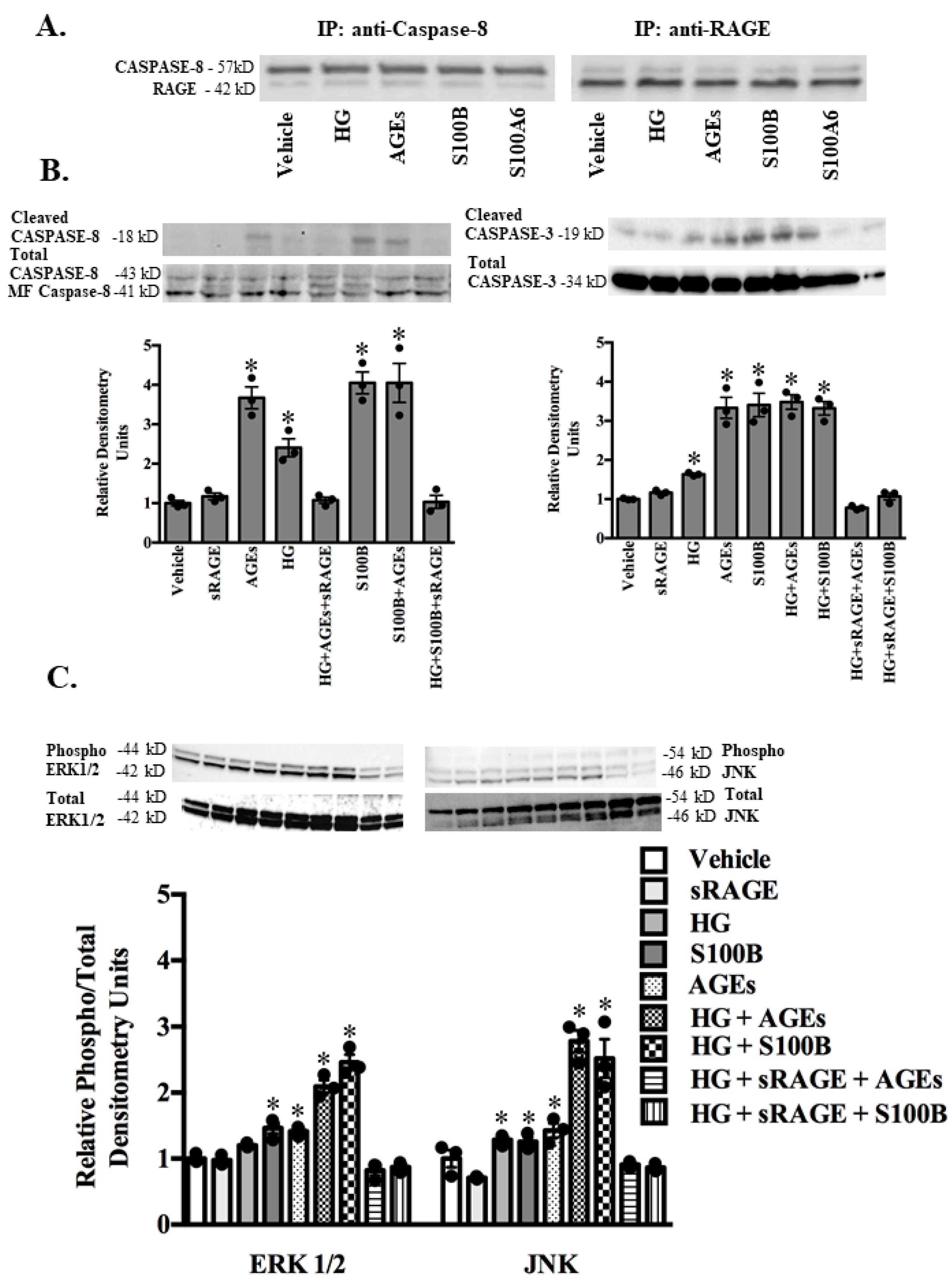 Molecules 25 05235 g004 Molecules 25 05235 g004