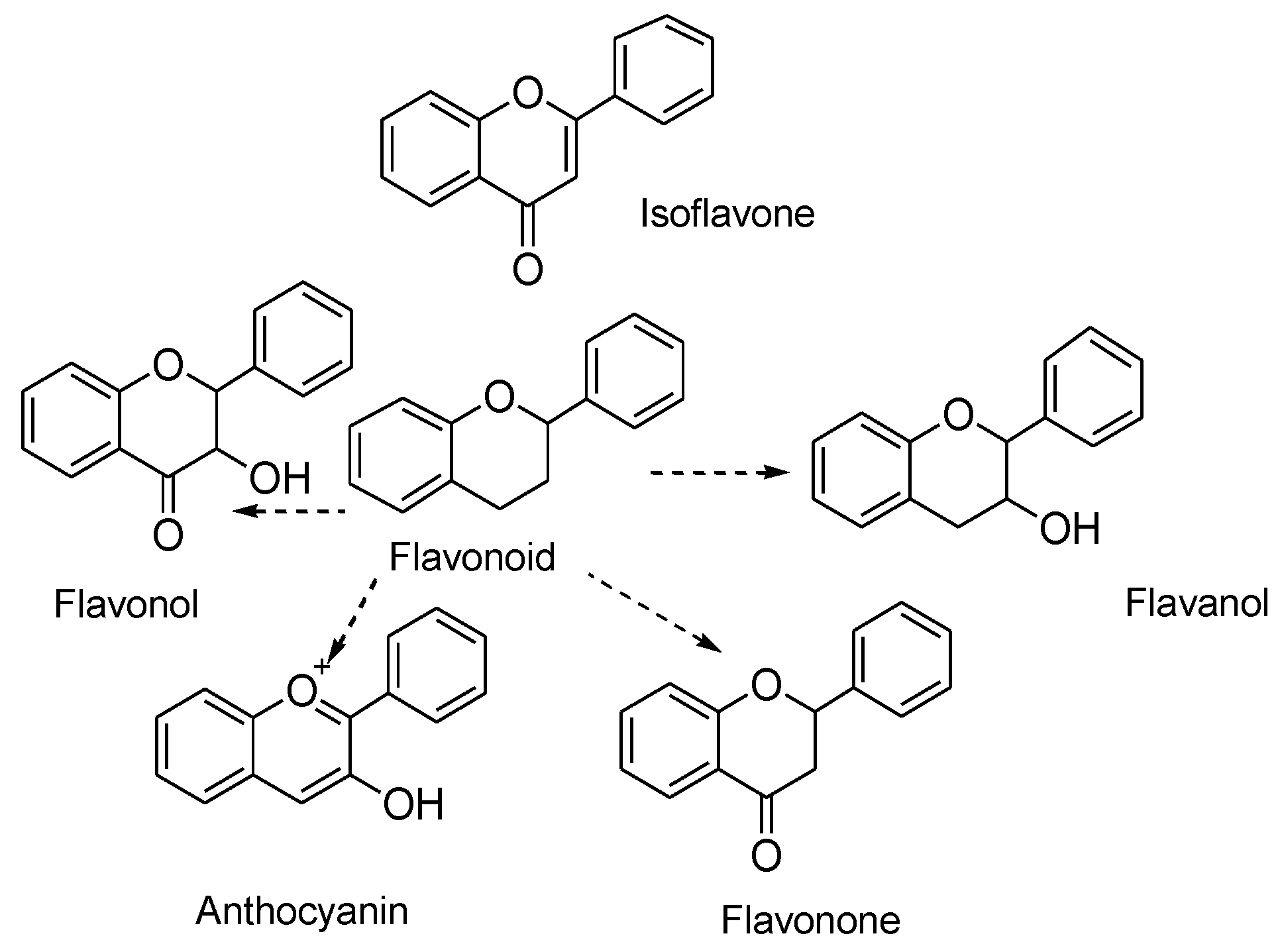 Molecules 25 05243 g001