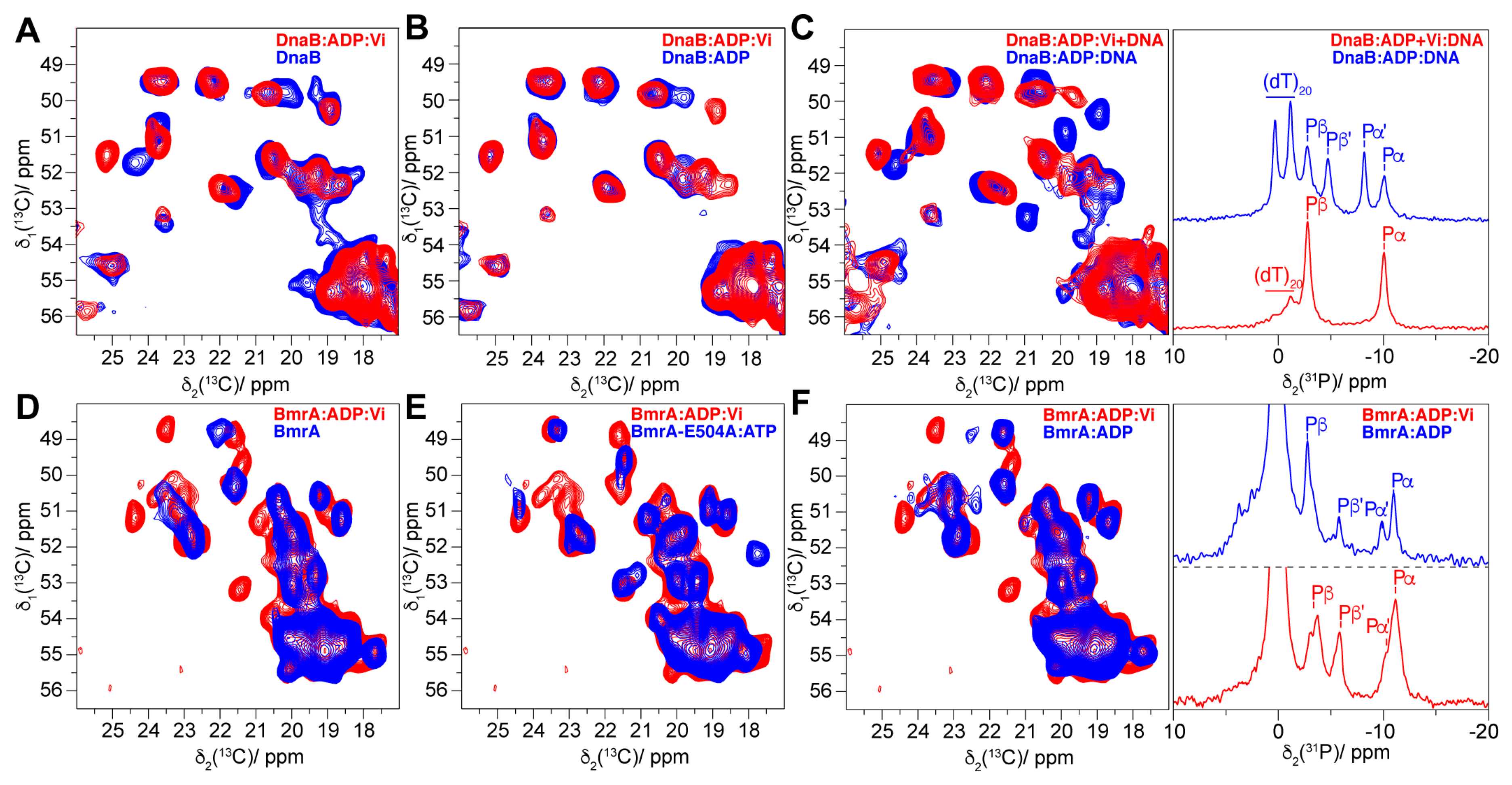 Molecules 25 05268 g006 Molecules 25 05268 g006