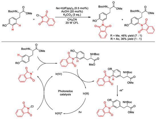 Molecules Free Full Text Recent Advances In Rapid Synthesis Of Non Proteinogenic Amino Acids From Proteinogenic Amino Acids Derivatives Via Direct Photo Mediated C H Functionalization Html