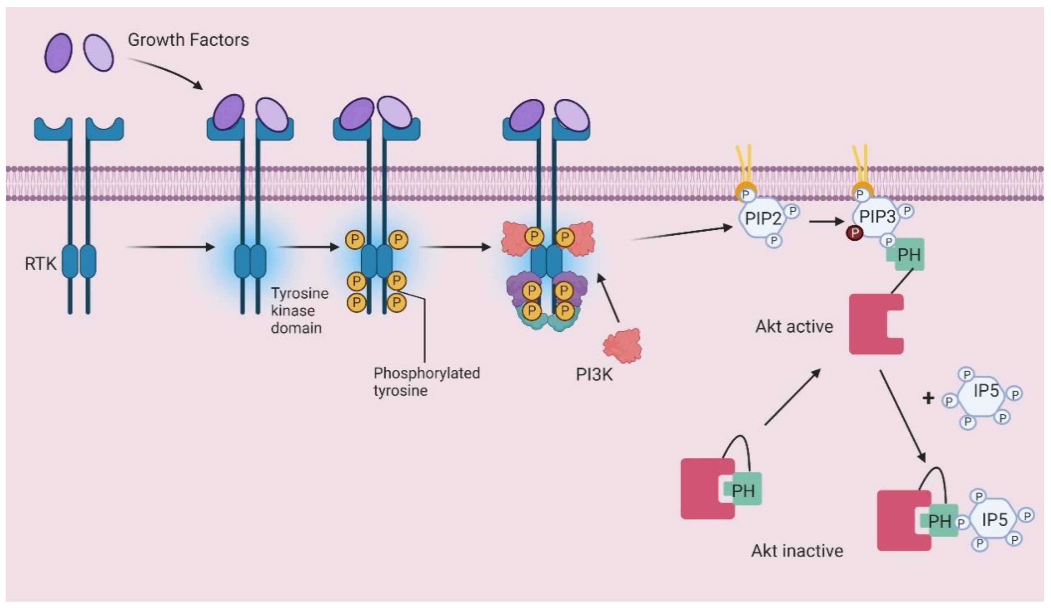 Molecules 25 05281 g004 Molecules 25 05281 g004