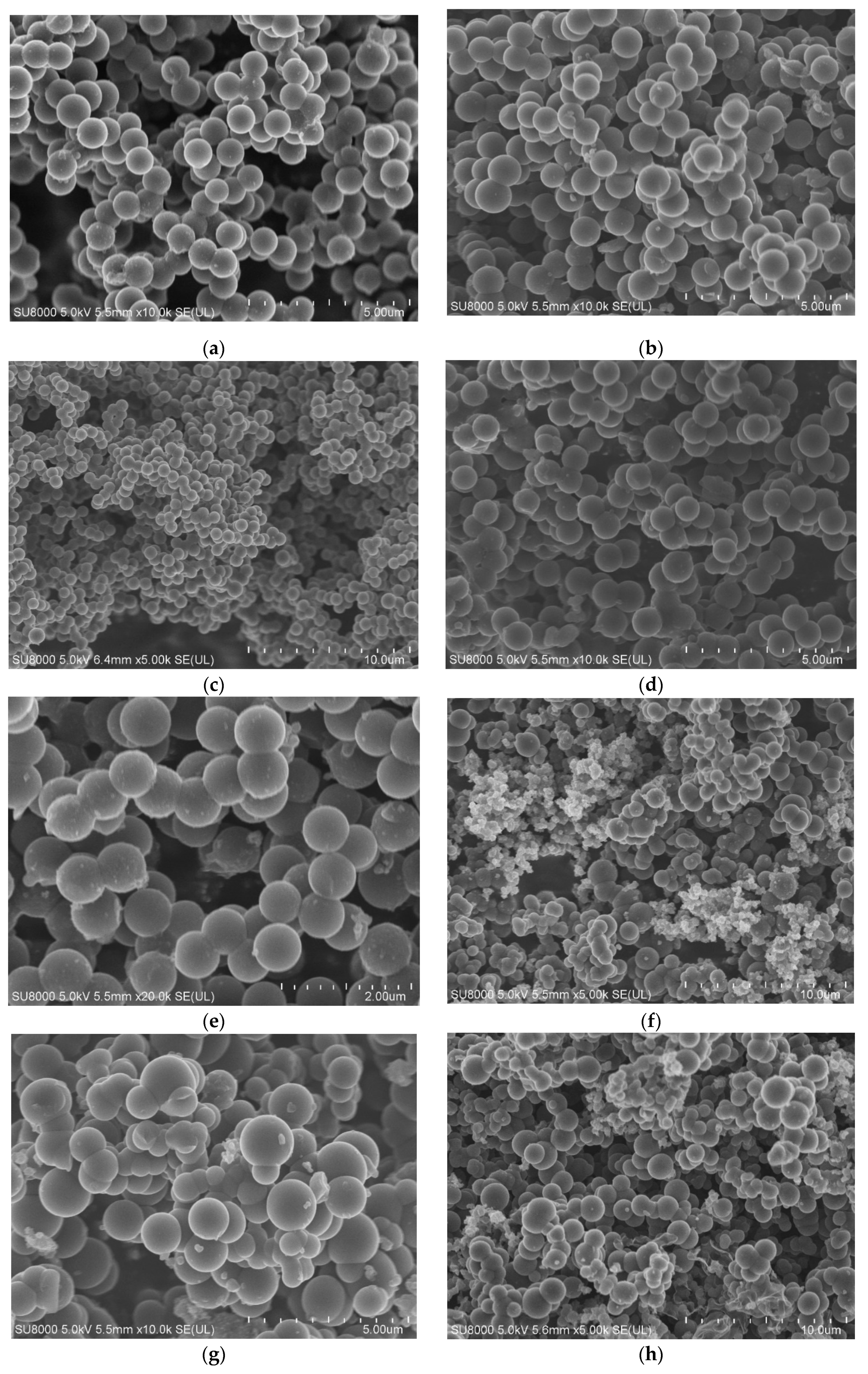 Molecules 25 05328 g001a