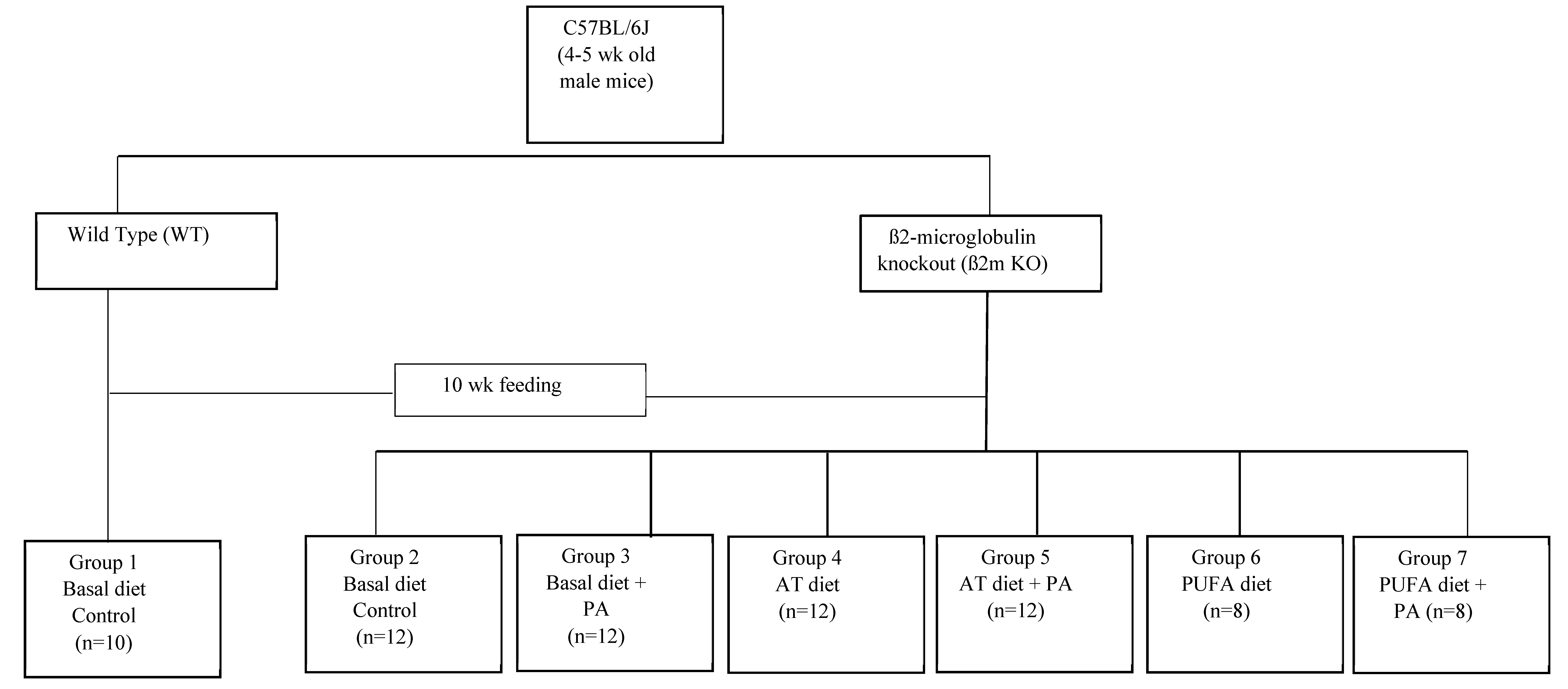 Molecules 25 05331 g001 Molecules 25 05331 g001