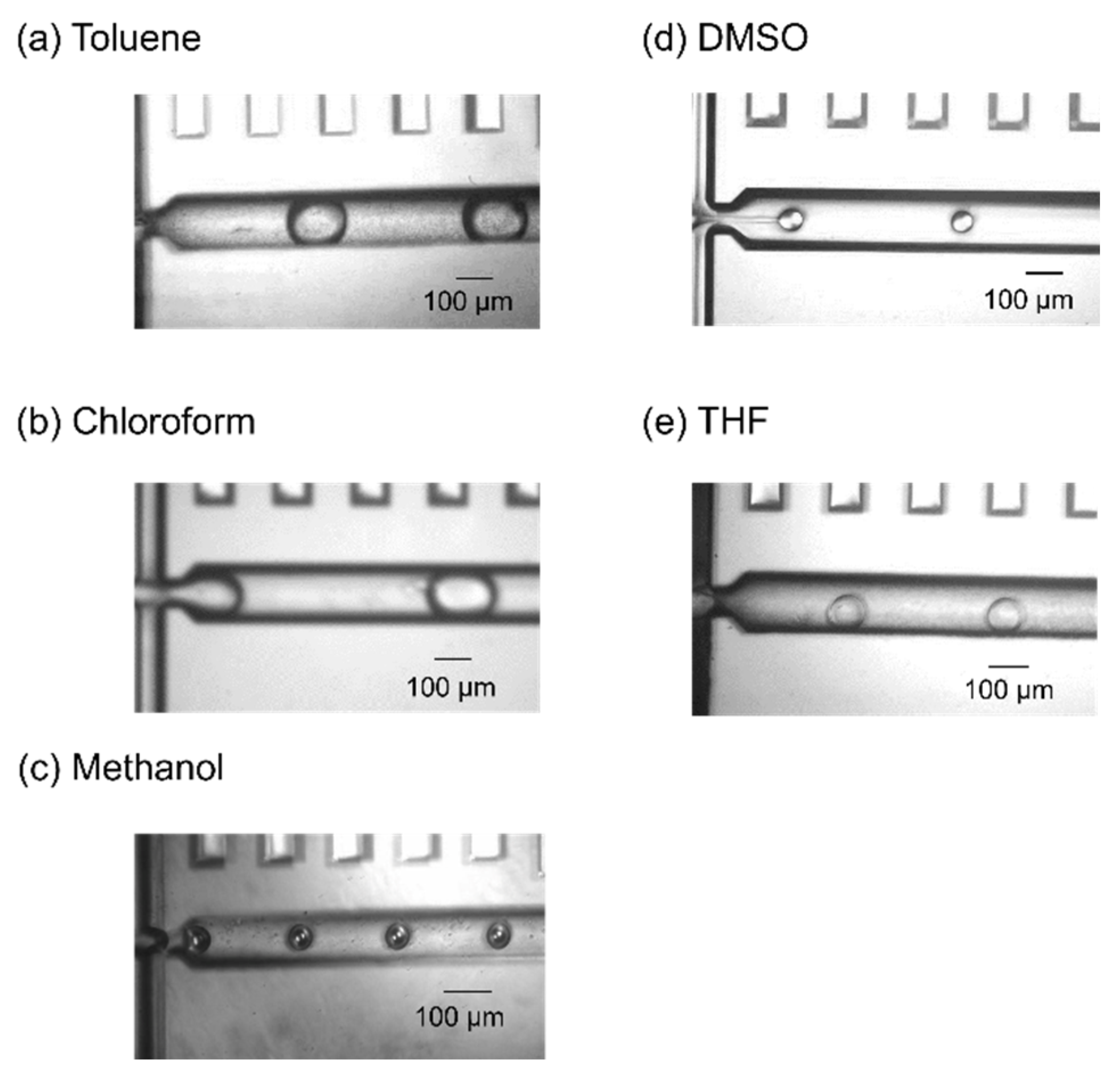 Molecules 25 05360 g001