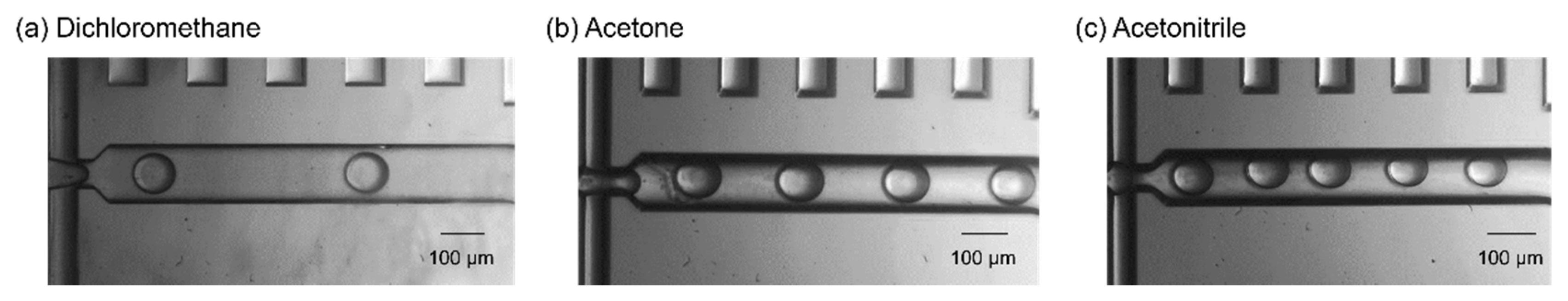 Molecules 25 05360 g003