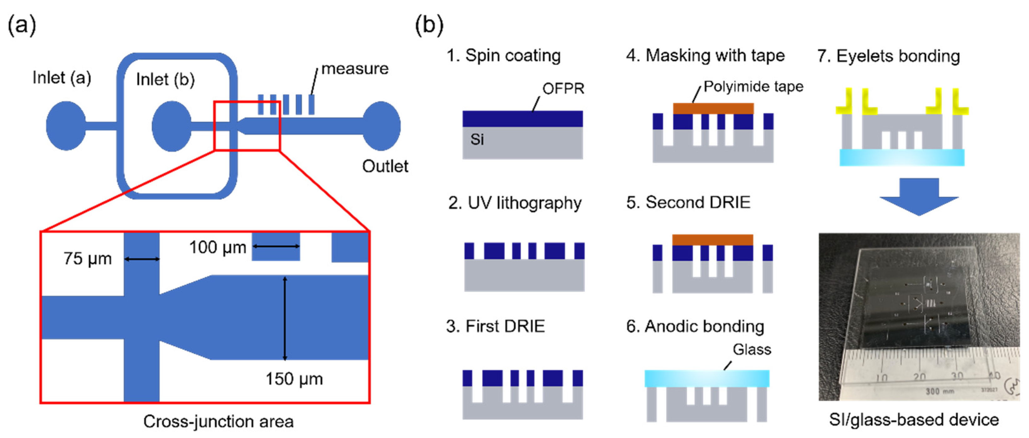 Molecules 25 05360 g007