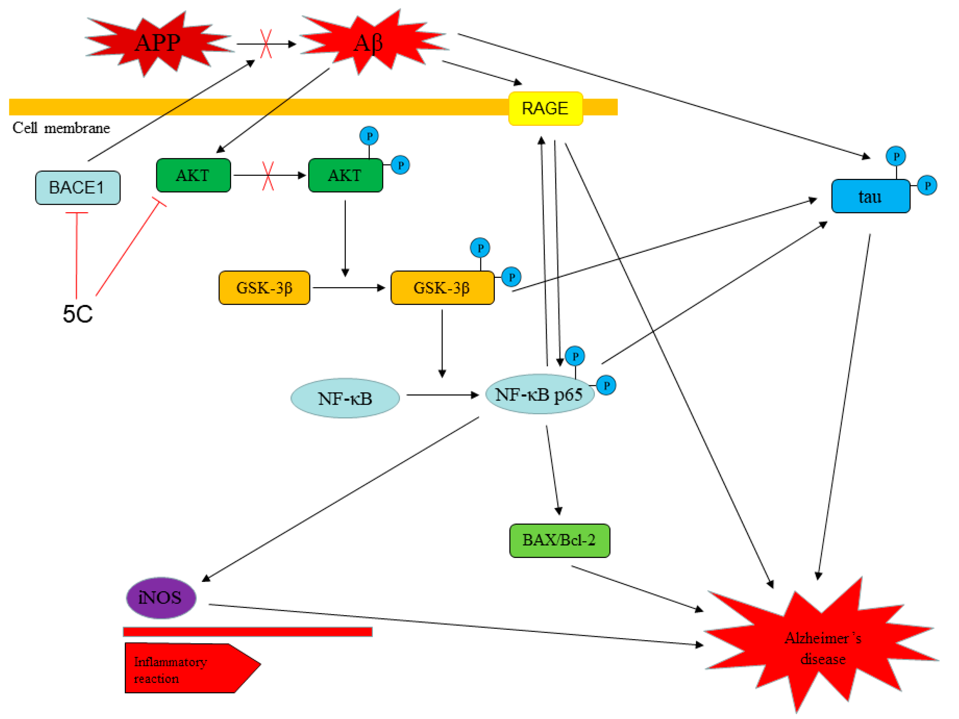 Molecules 25 05391 g009