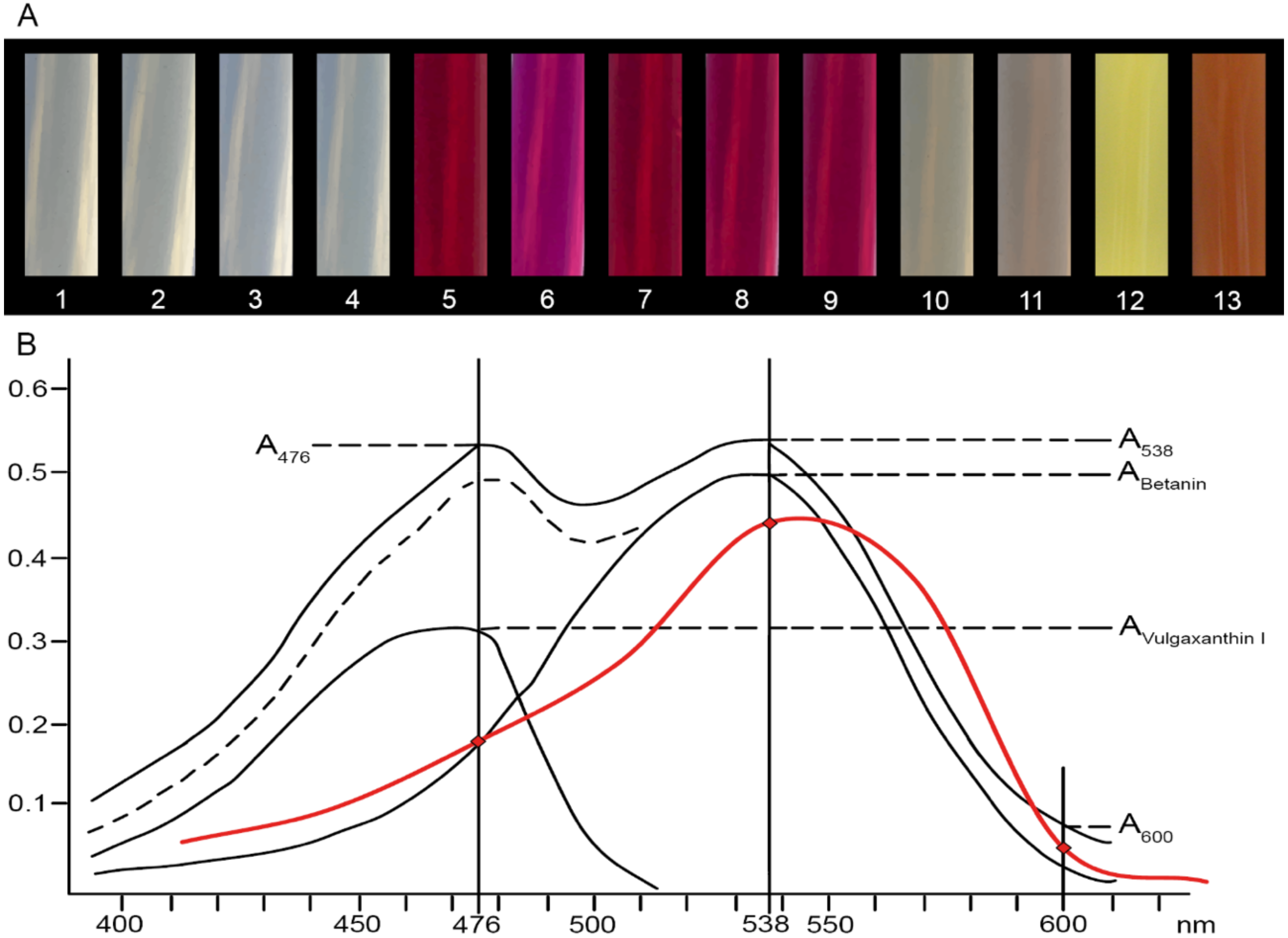 Molecules 25 05395 g003