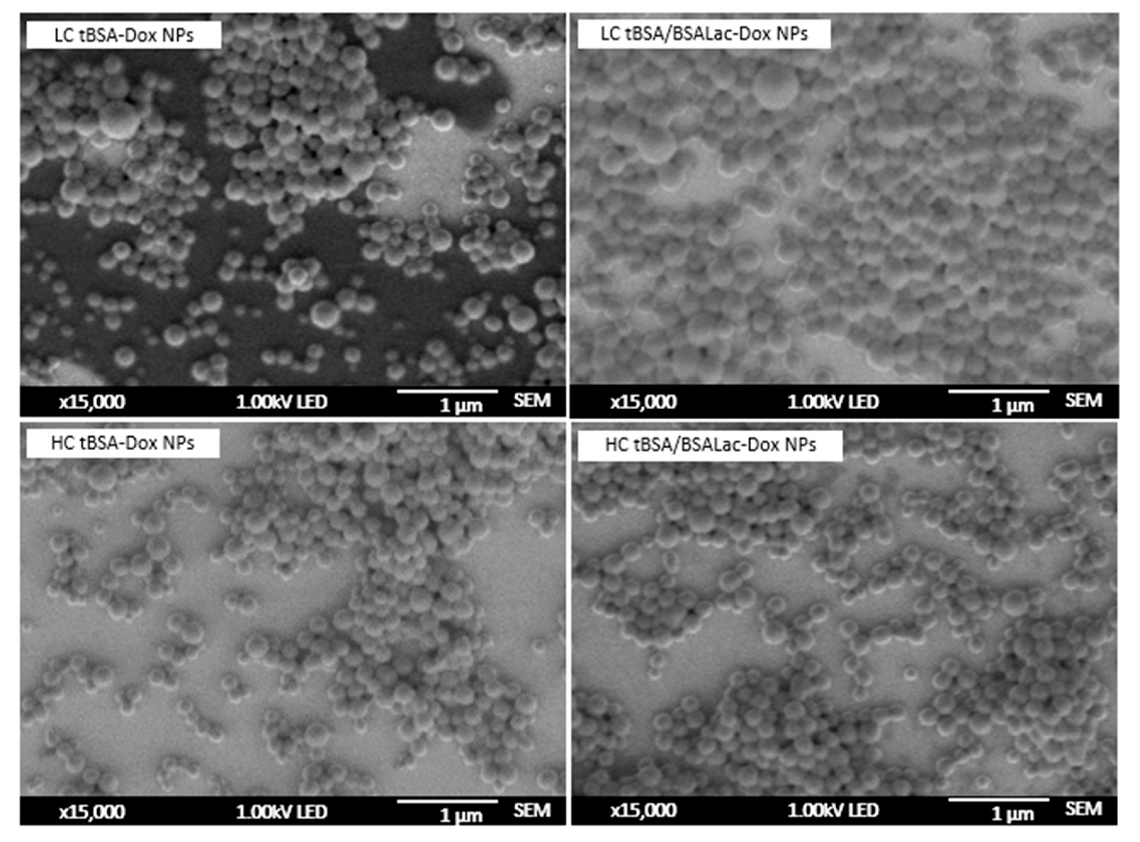 Molecules 25 05432 g002