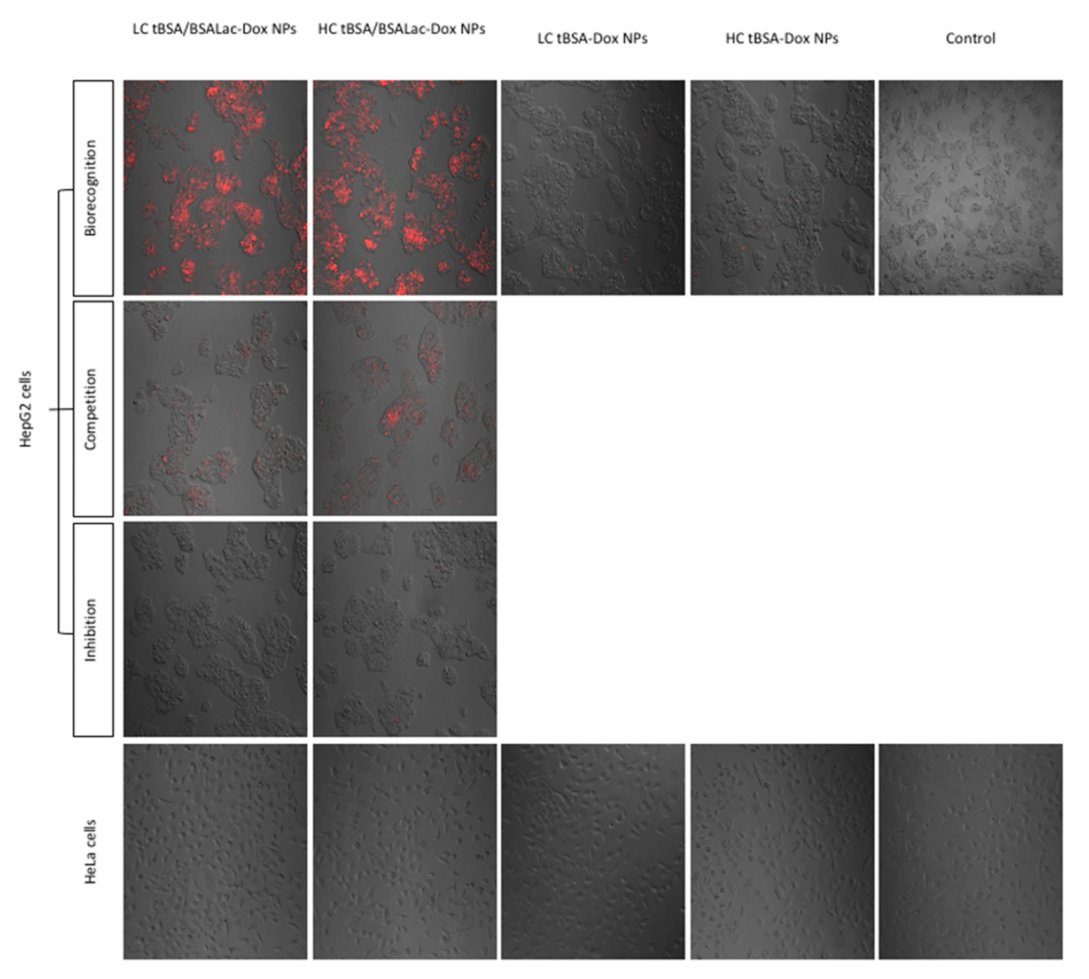 Molecules 25 05432 g007