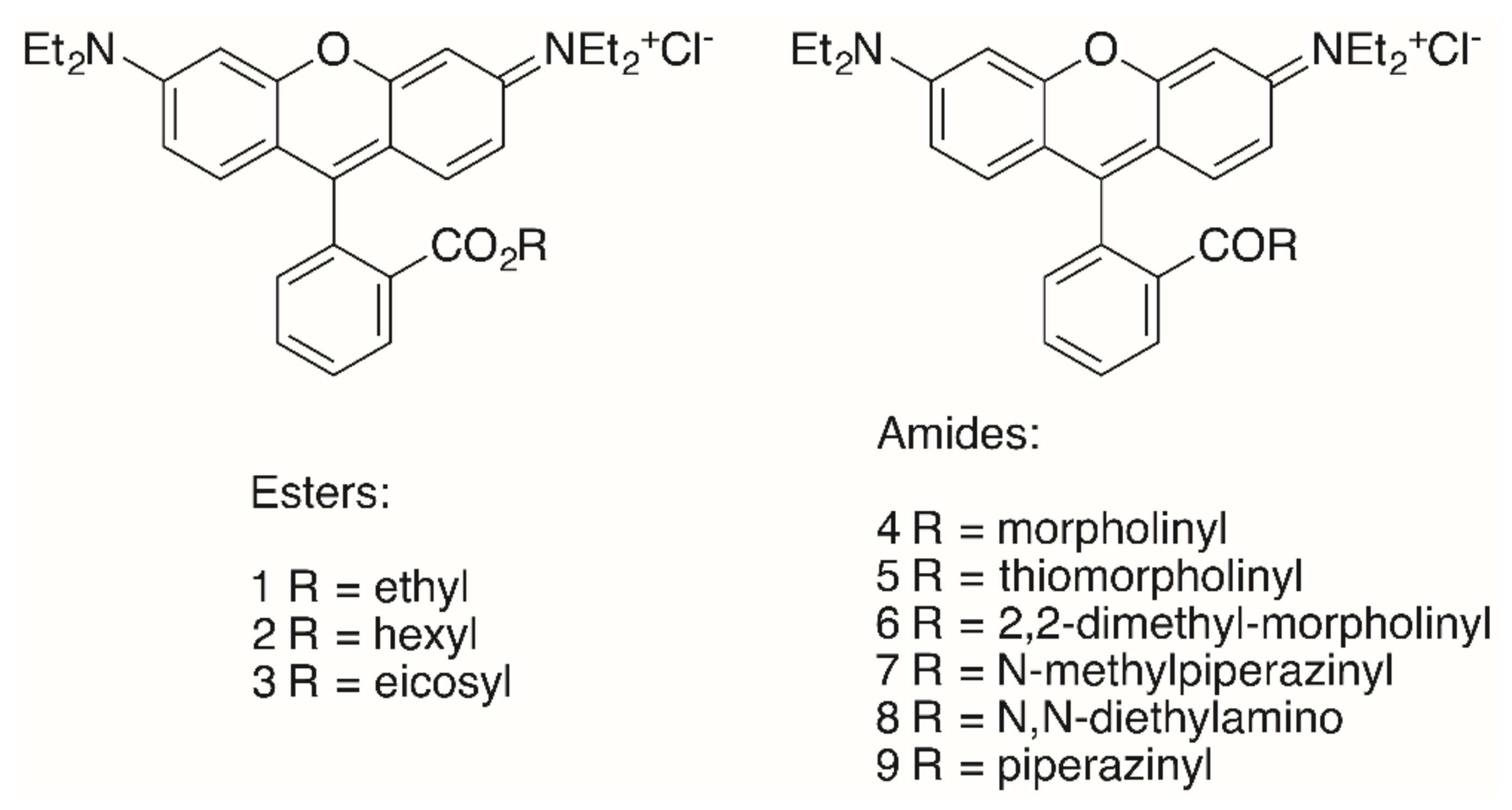Molecules 25 05443 g003