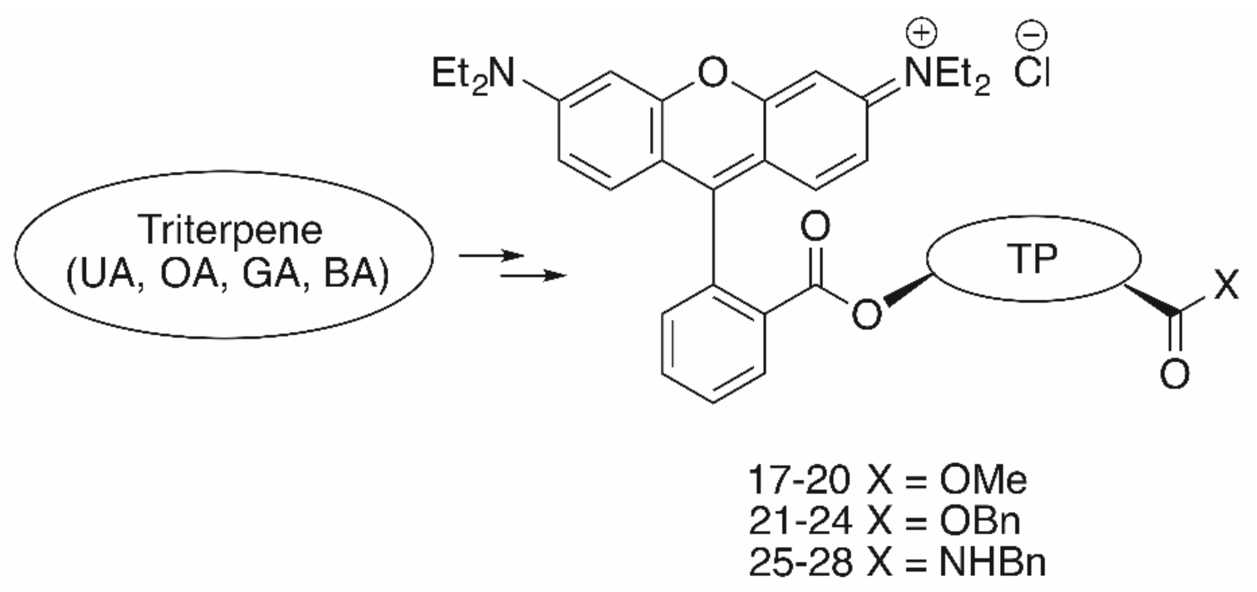 Molecules 25 05443 g007