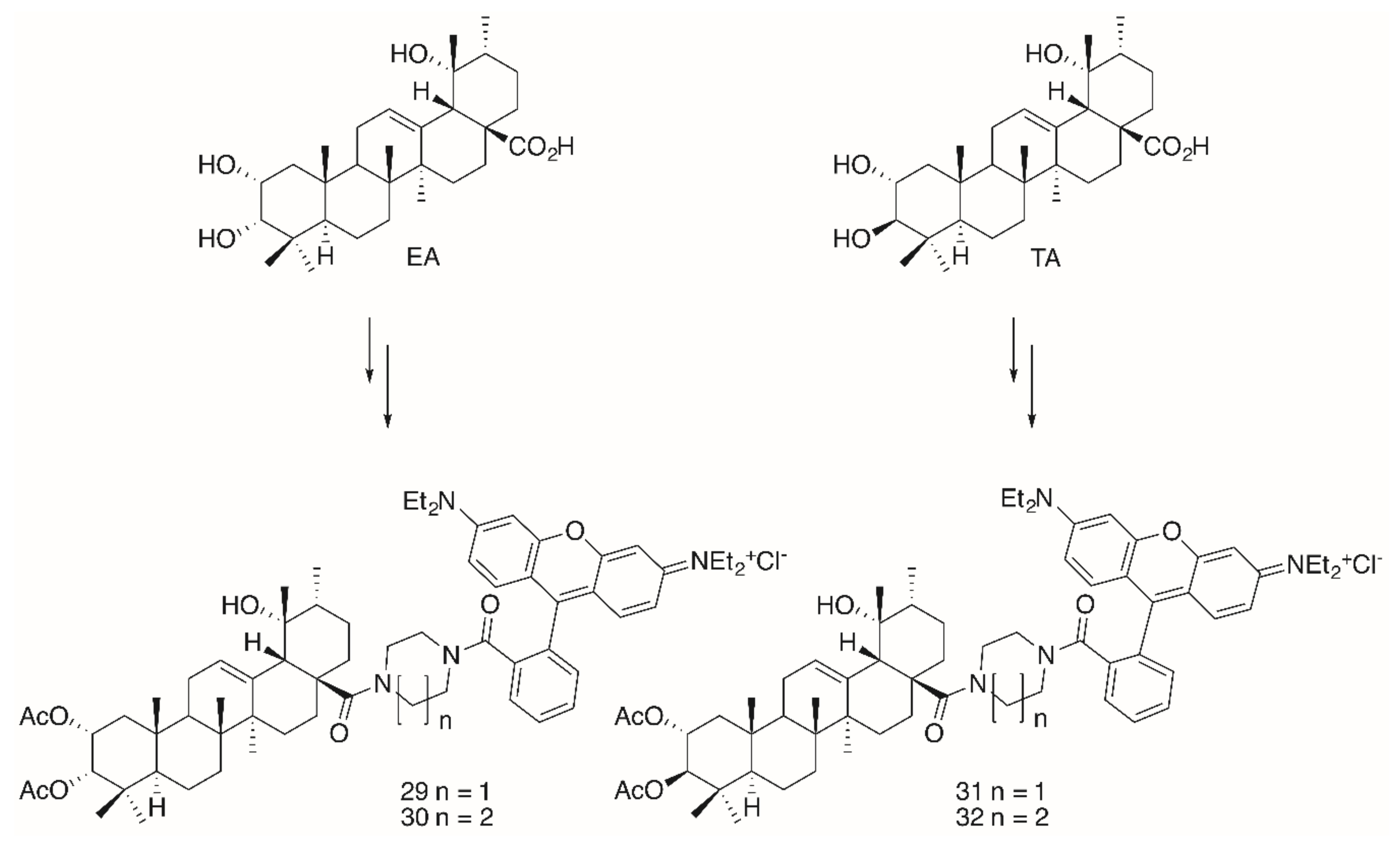 Molecules 25 05443 g008