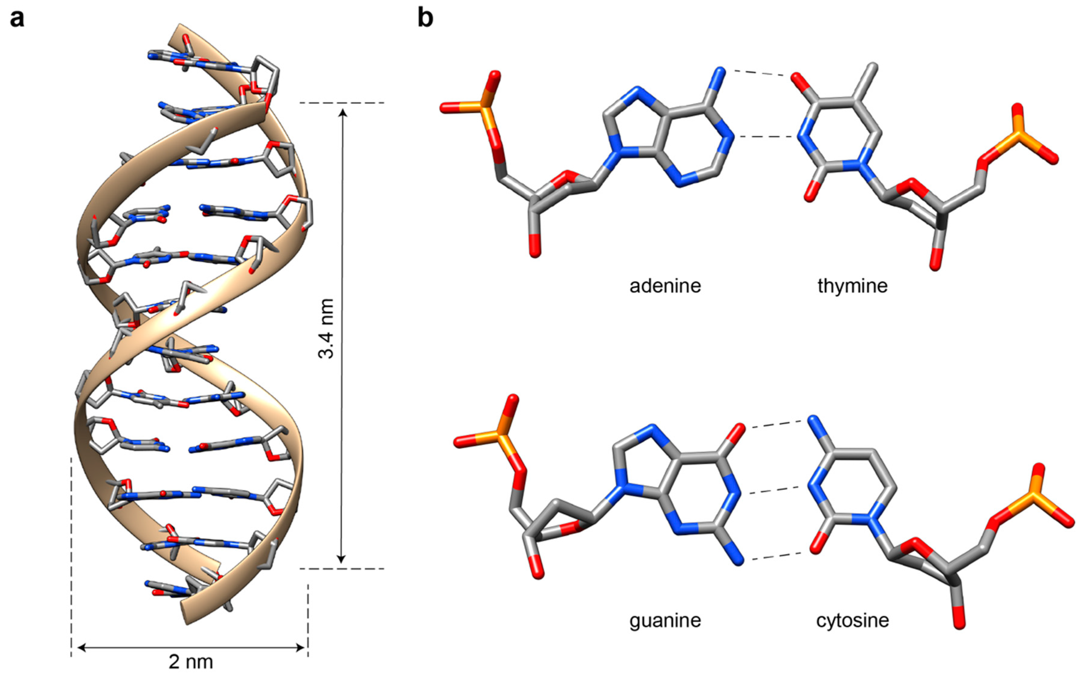 Molecules 25 05466 g001 Molecules 25 05466 g001