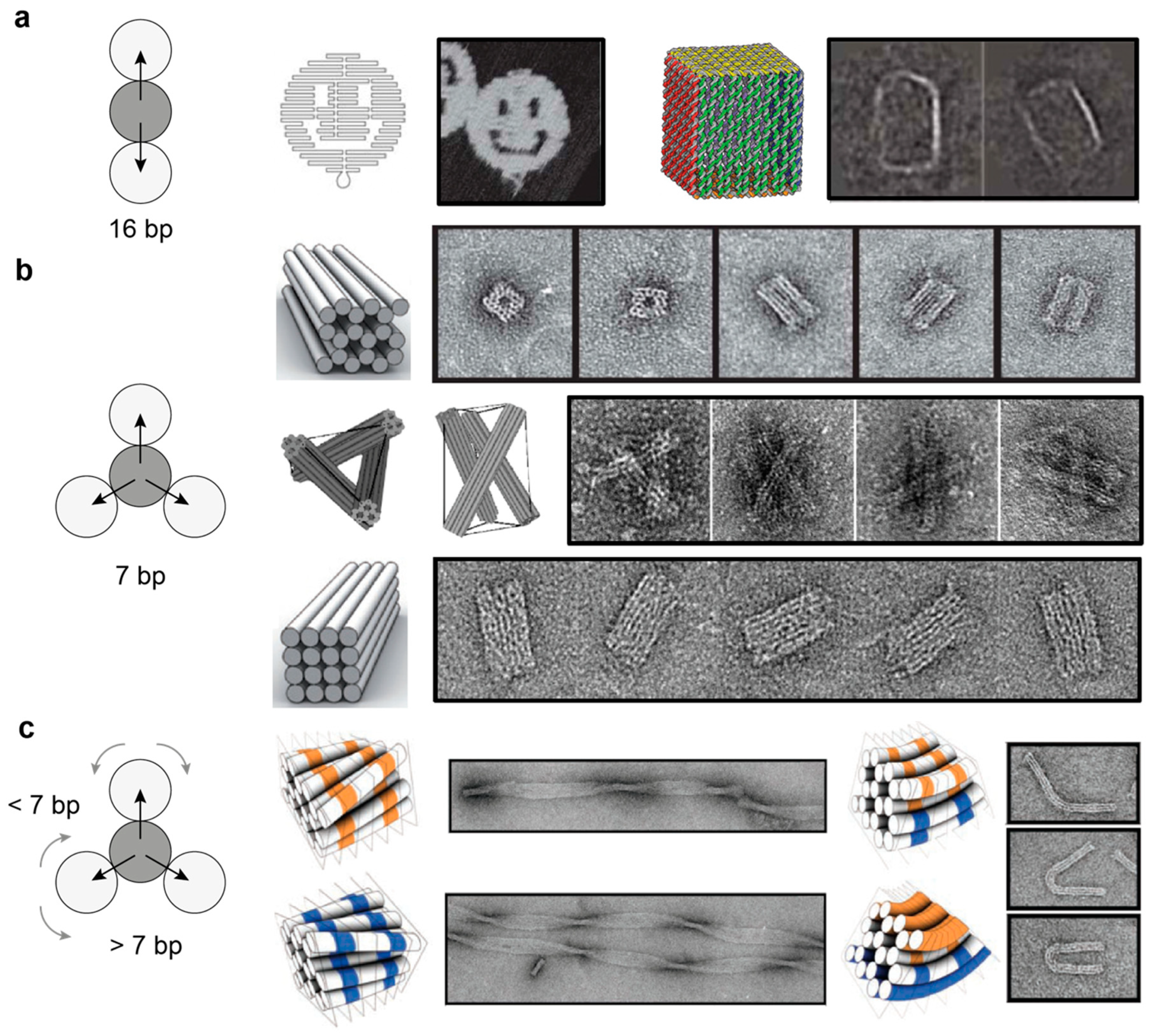 Molecules 25 05466 g004a Molecules 25 05466 g004a