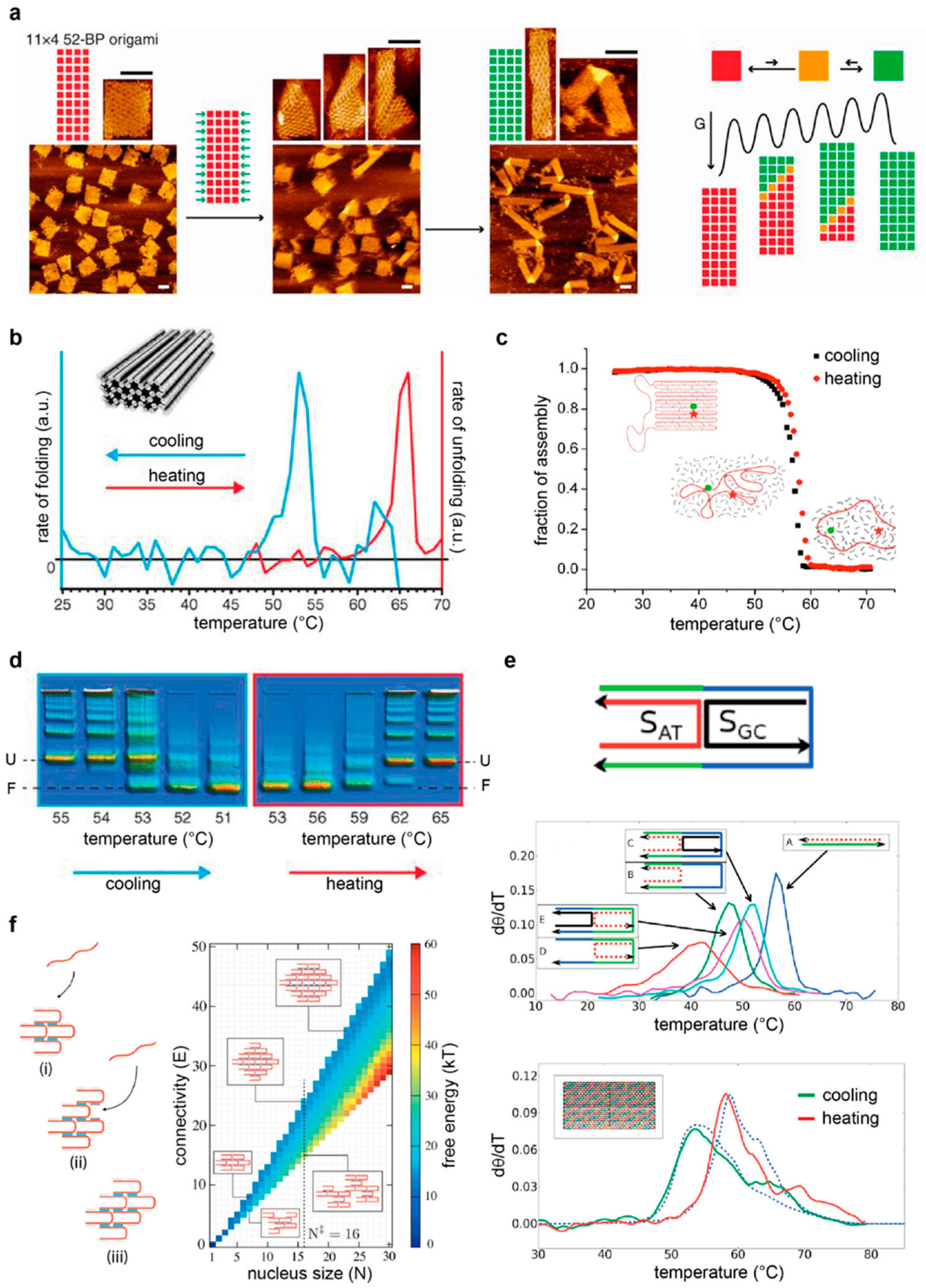 Molecules 25 05466 g005 Molecules 25 05466 g005