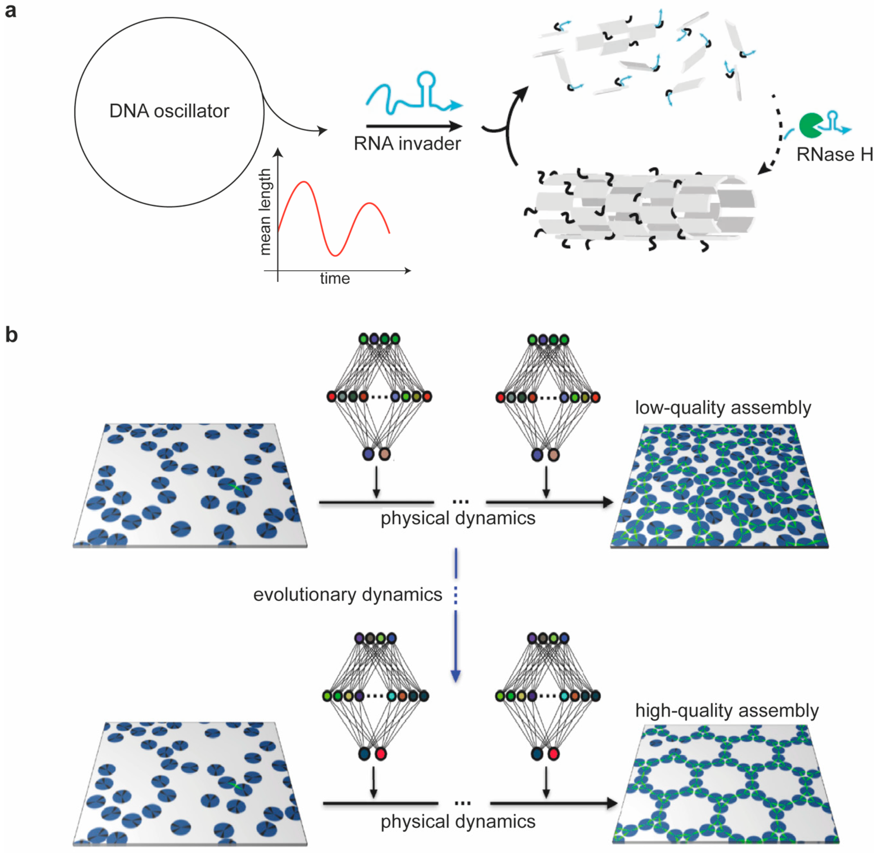 Molecules 25 05466 g006 Molecules 25 05466 g006