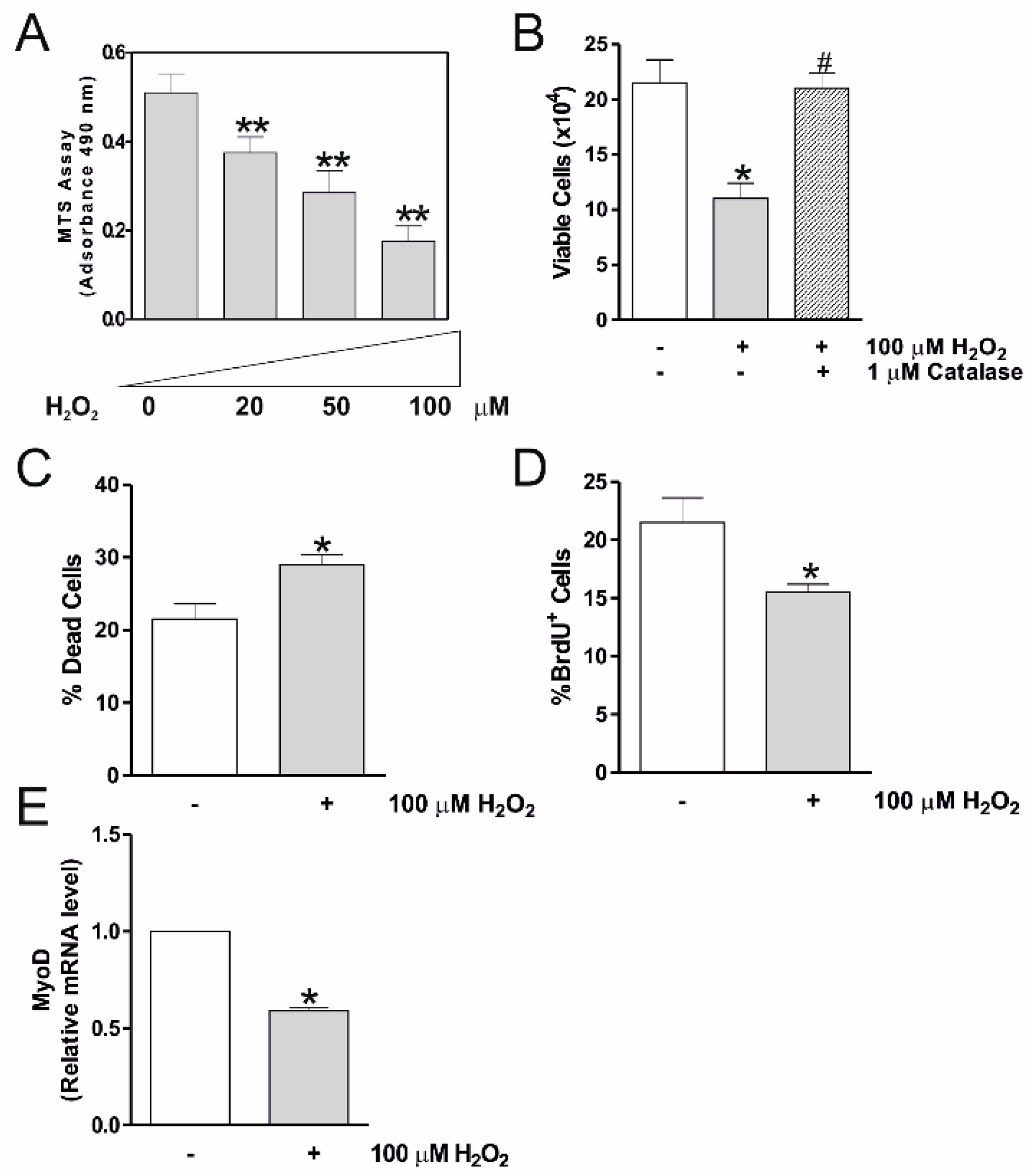 Molecules 25 05472 g001 Molecules 25 05472 g001