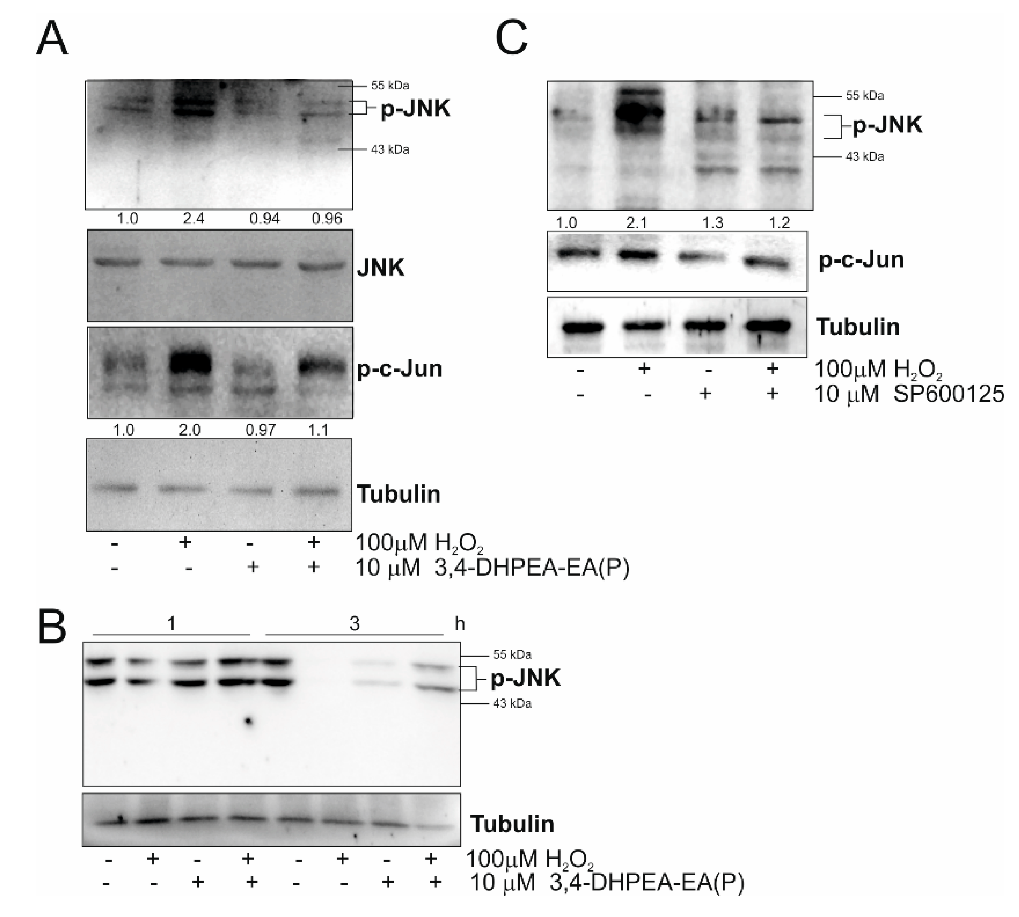 Molecules 25 05472 g004 Molecules 25 05472 g004
